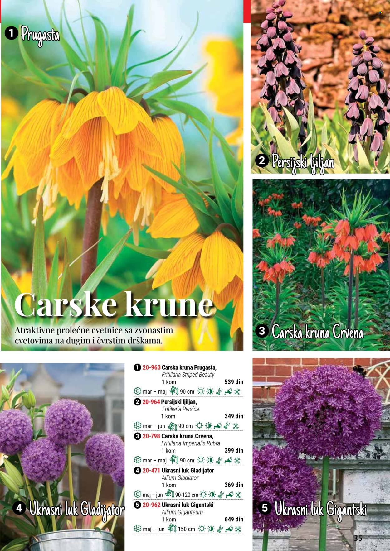flora-ekspres - Flora Ekspres katalog septembar 2025 - page: 35 flora-ekspres - Flora Ekspres katalog septembar 2025 - page: 35
