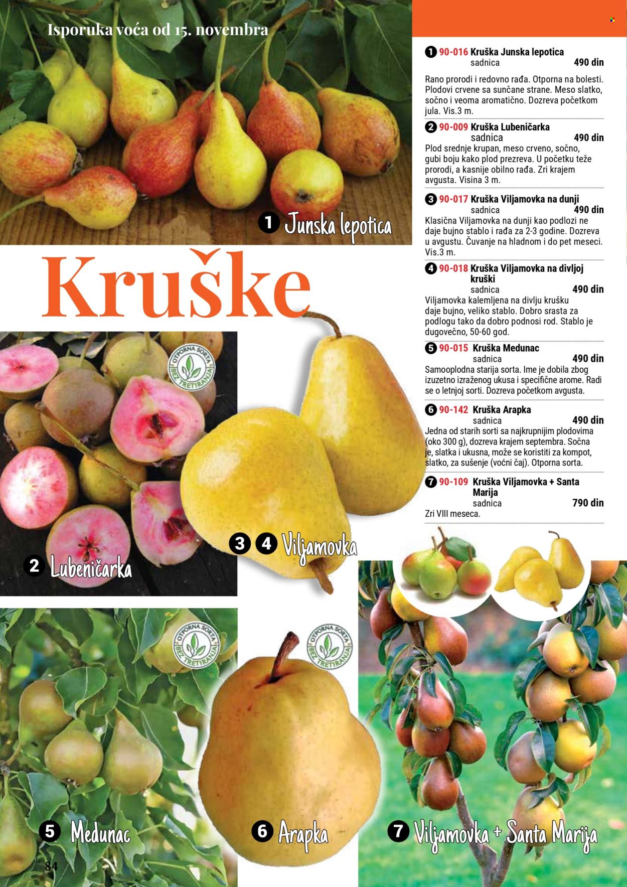 flora-ekspres - Flora Ekspres katalog septembar 2025 - page: 84 flora-ekspres - Flora Ekspres katalog septembar 2025 - page: 84
