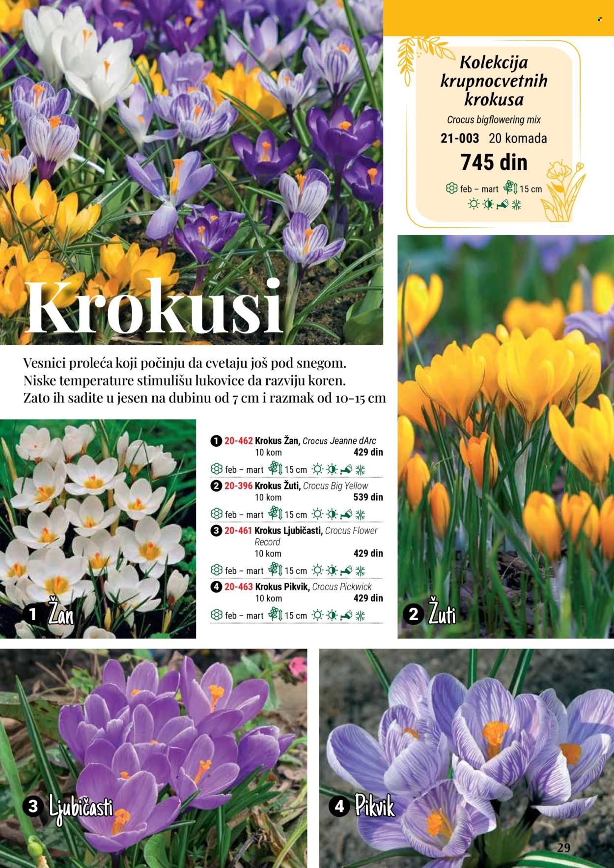 flora-ekspres - Flora Ekspres katalog septembar 2025 - page: 29 flora-ekspres - Flora Ekspres katalog septembar 2025 - page: 29