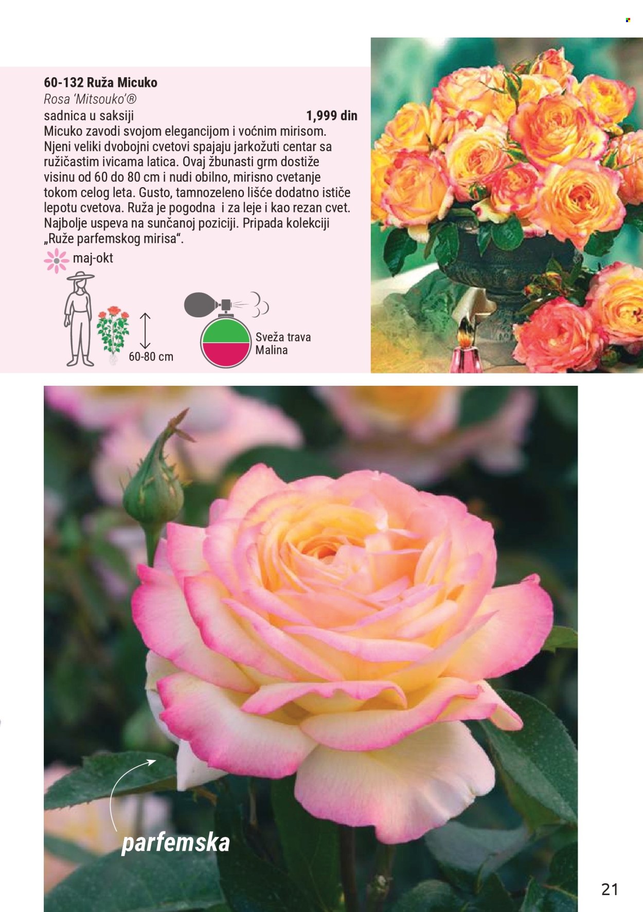 flora-ekspres - Flora Ekspres katalog novembar 2025 - page: 21