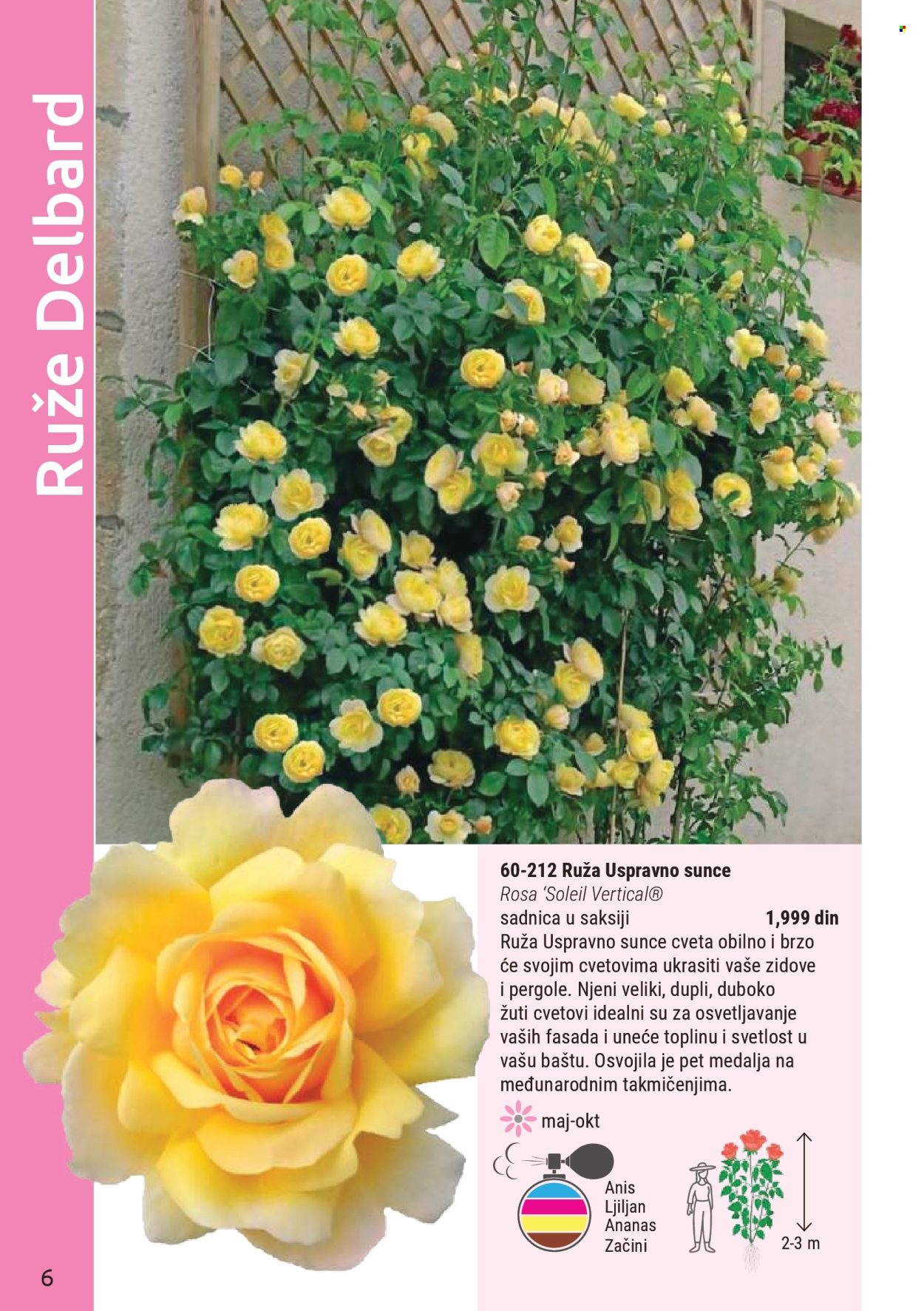 flora-ekspres - Flora Ekspres katalog novembar 2025 - page: 6