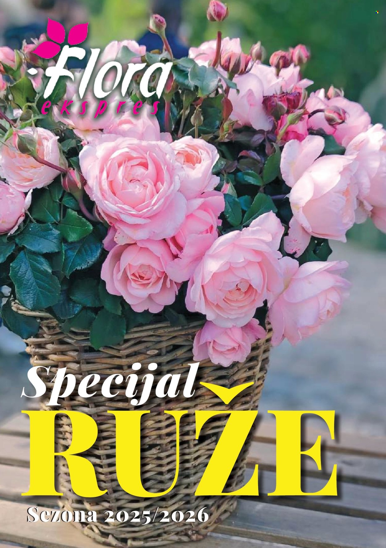 flora-ekspres - Flora Ekspres katalog novembar 2025