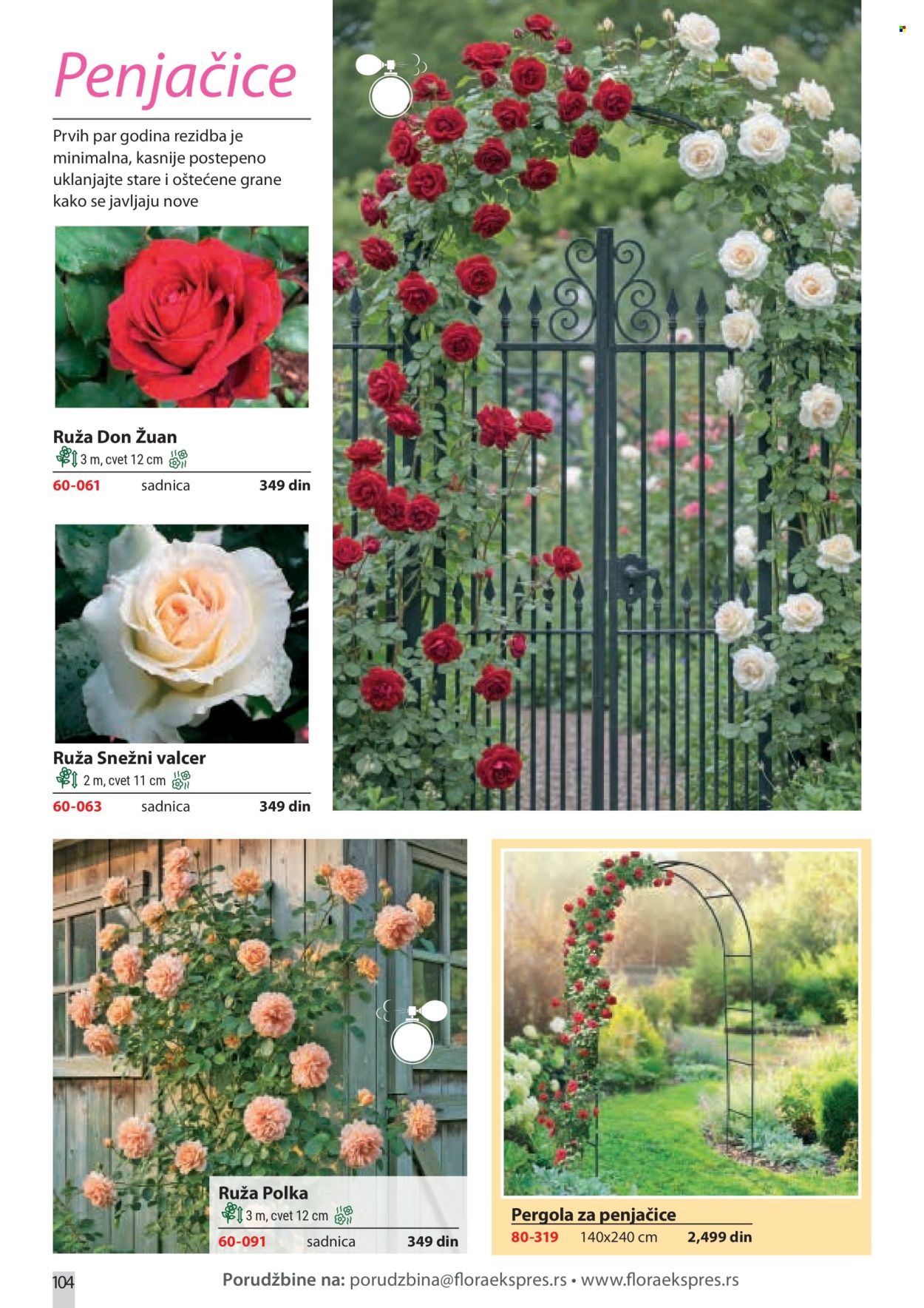 flora-ekspres - Flora Ekspres katalog februar 2026 - page: 104