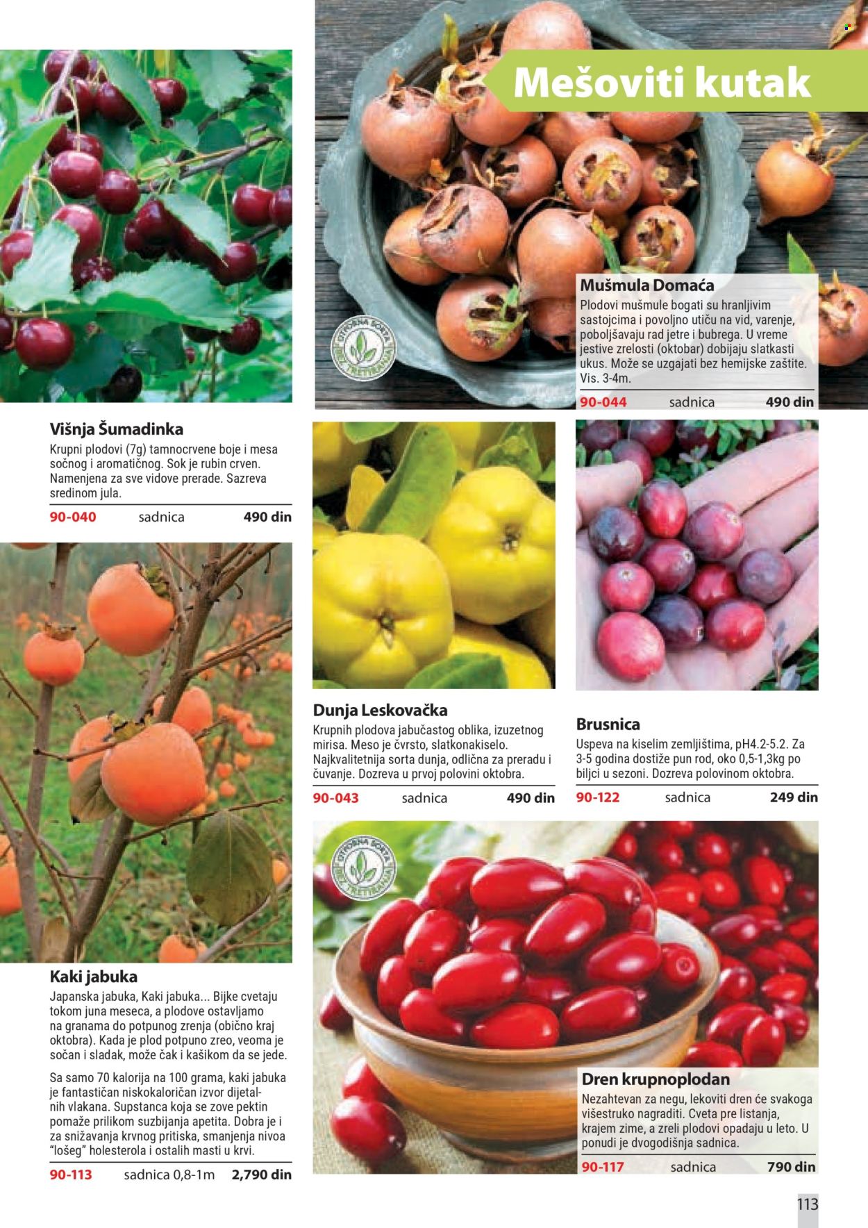 flora-ekspres - Flora Ekspres katalog februar 2026 - page: 113