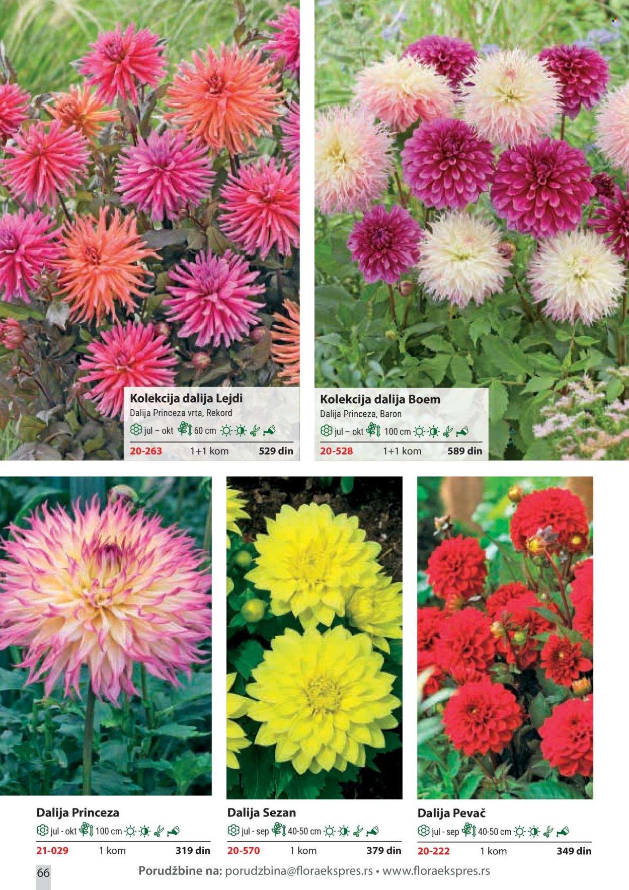 flora-ekspres - Flora Ekspres katalog februar 2026 - page: 66