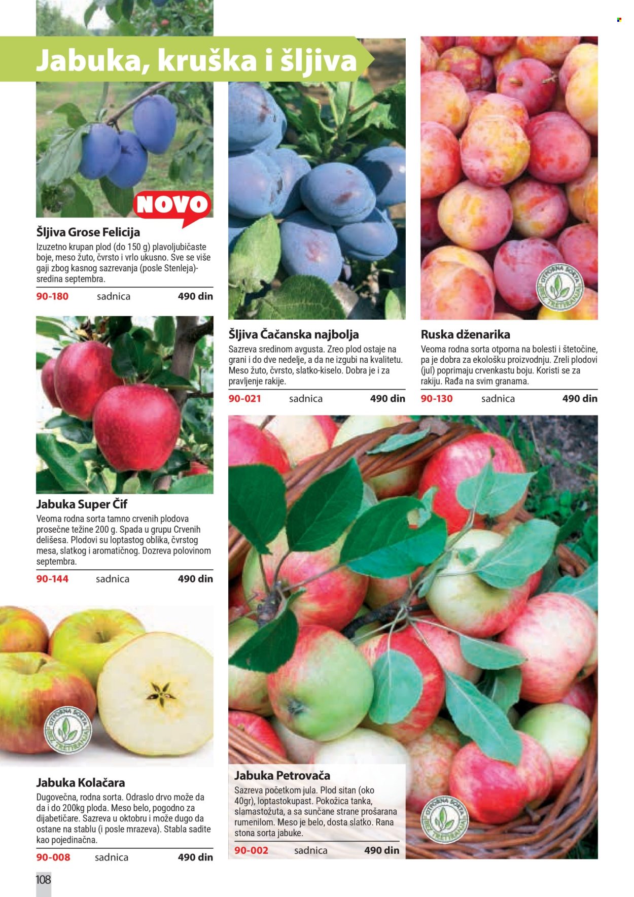 flora-ekspres - Flora Ekspres katalog februar 2026 - page: 108