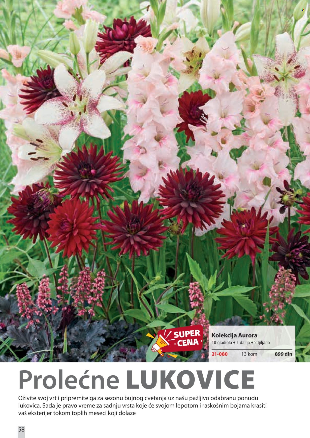 flora-ekspres - Flora Ekspres katalog februar 2026 - page: 58