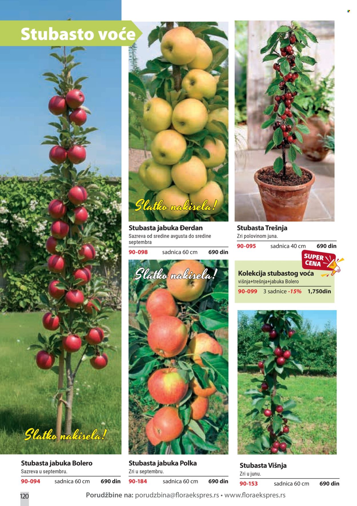 flora-ekspres - Flora Ekspres katalog februar 2026 - page: 120