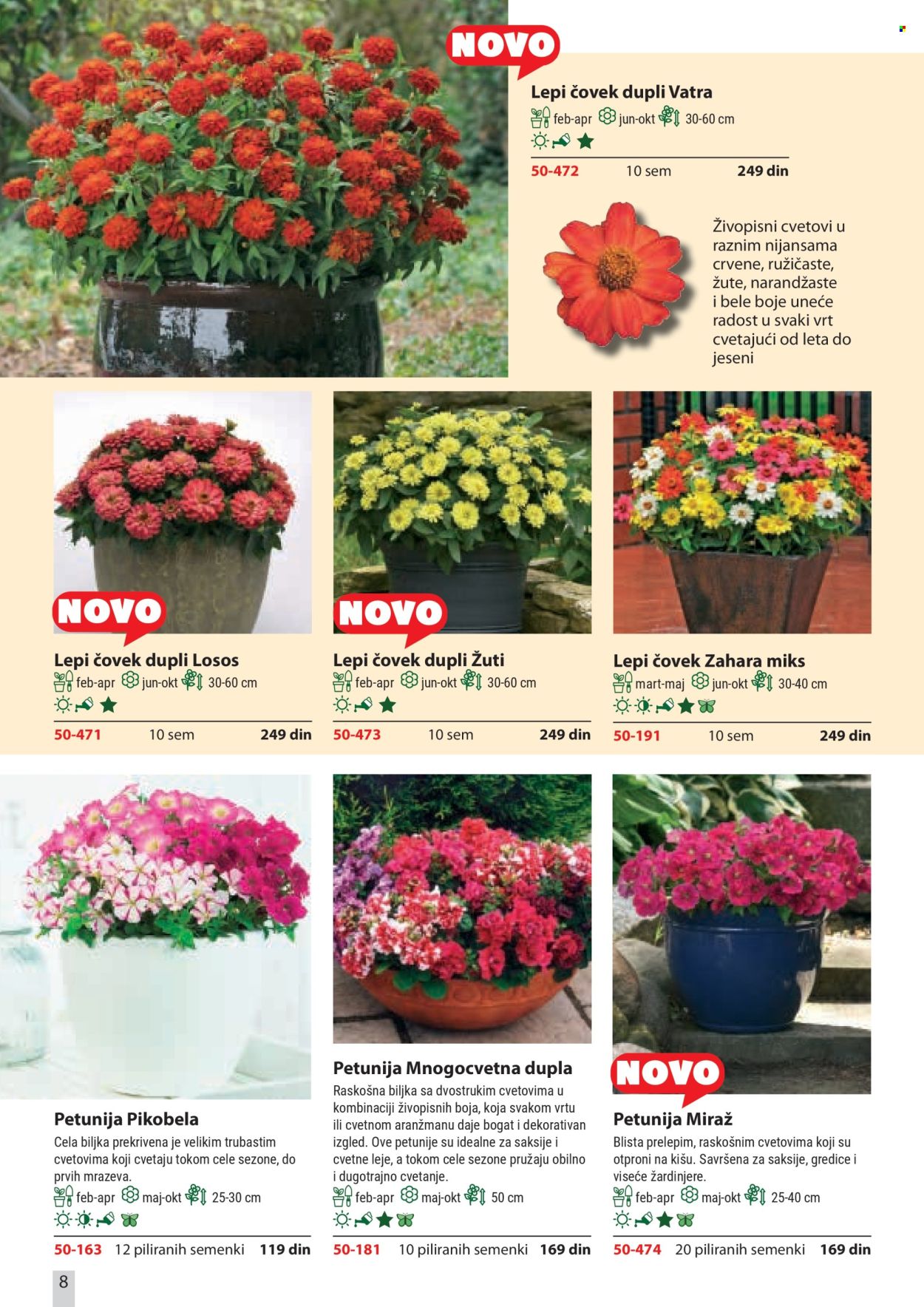 flora-ekspres - Flora Ekspres katalog februar 2026 - page: 8