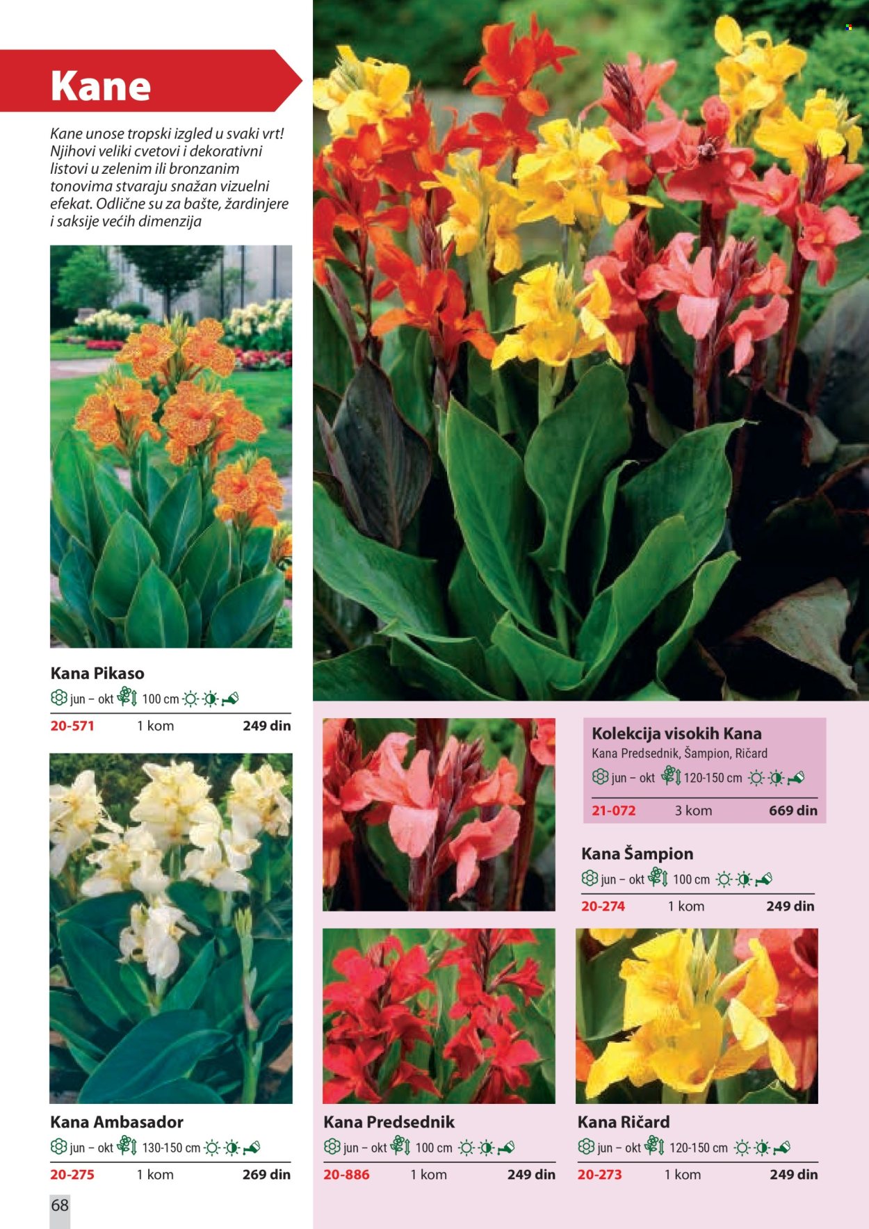 flora-ekspres - Flora Ekspres katalog februar 2026 - page: 68