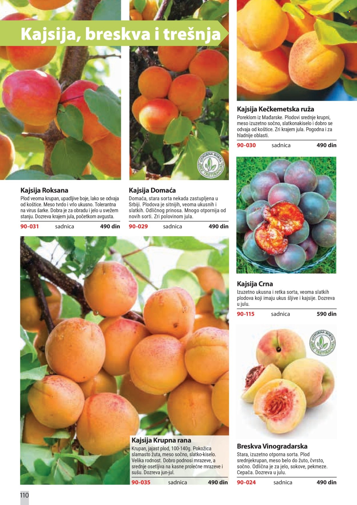 flora-ekspres - Flora Ekspres katalog februar 2026 - page: 110