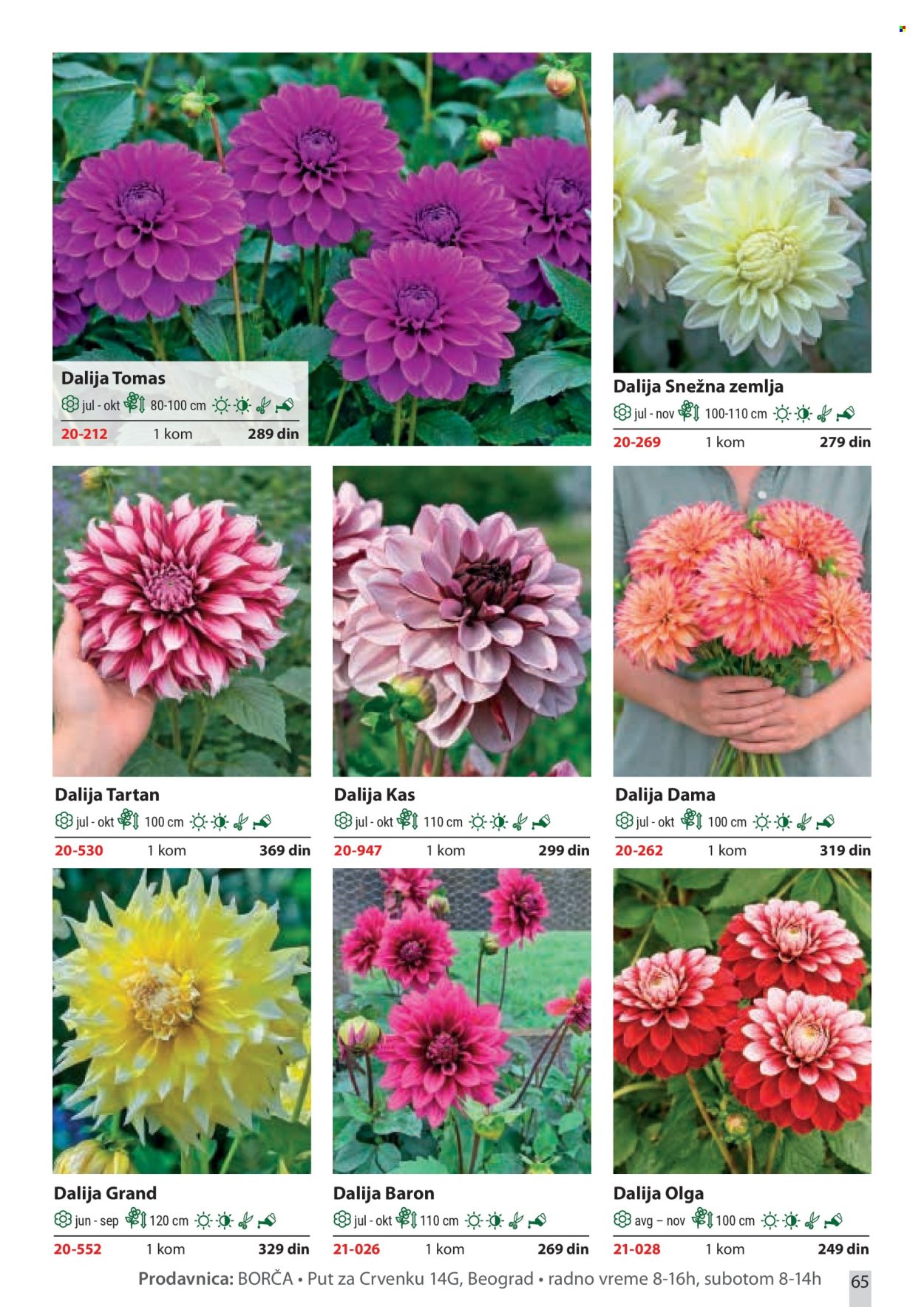 flora-ekspres - Flora Ekspres katalog februar 2026 - page: 65