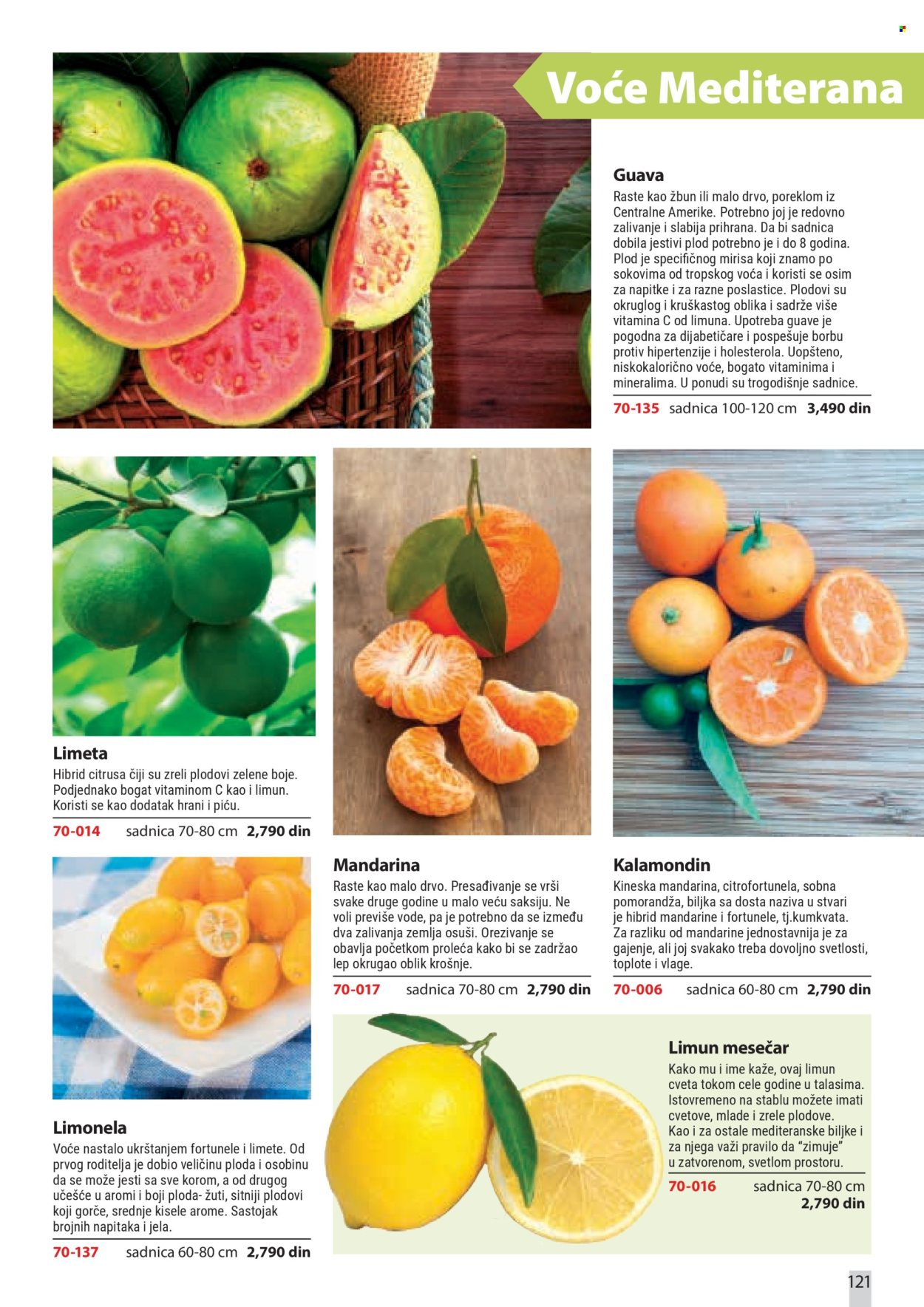 flora-ekspres - Flora Ekspres katalog februar 2026 - page: 121