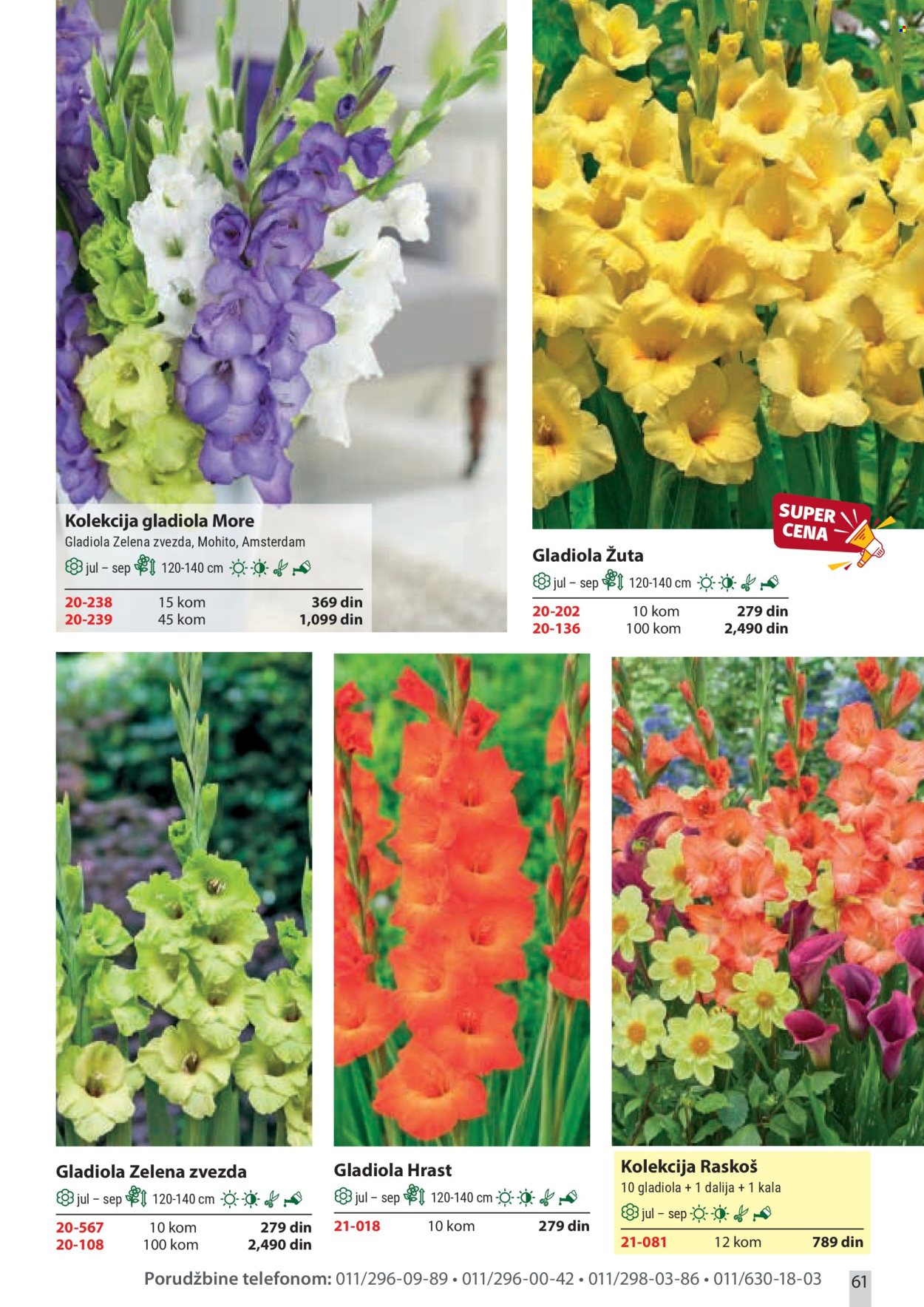 flora-ekspres - Flora Ekspres katalog februar 2026 - page: 61
