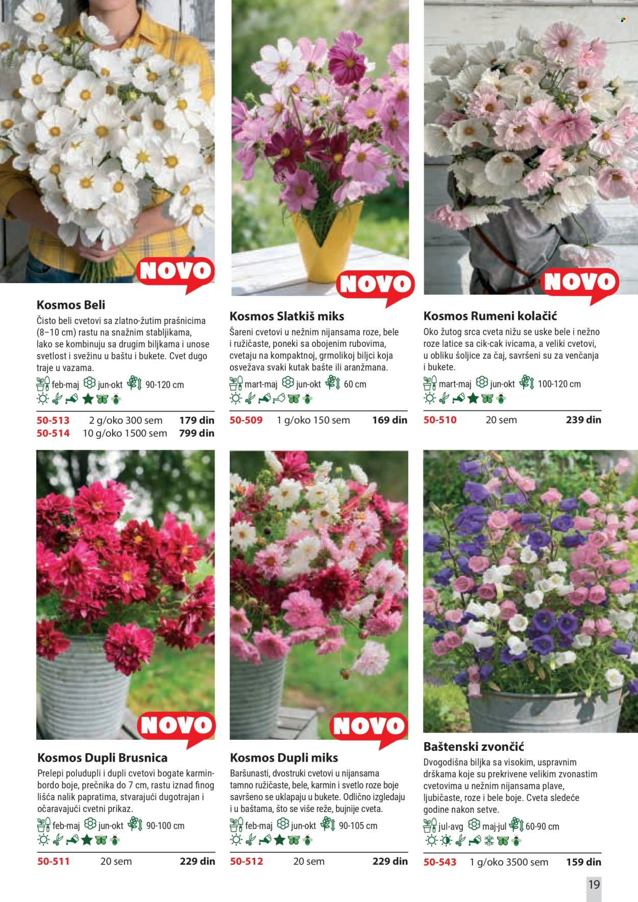 flora-ekspres - Flora Ekspres katalog februar 2026 - page: 19