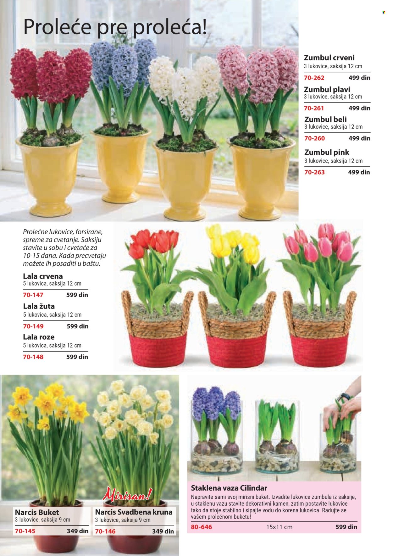 flora-ekspres - Flora Ekspres katalog februar 2026 - page: 124