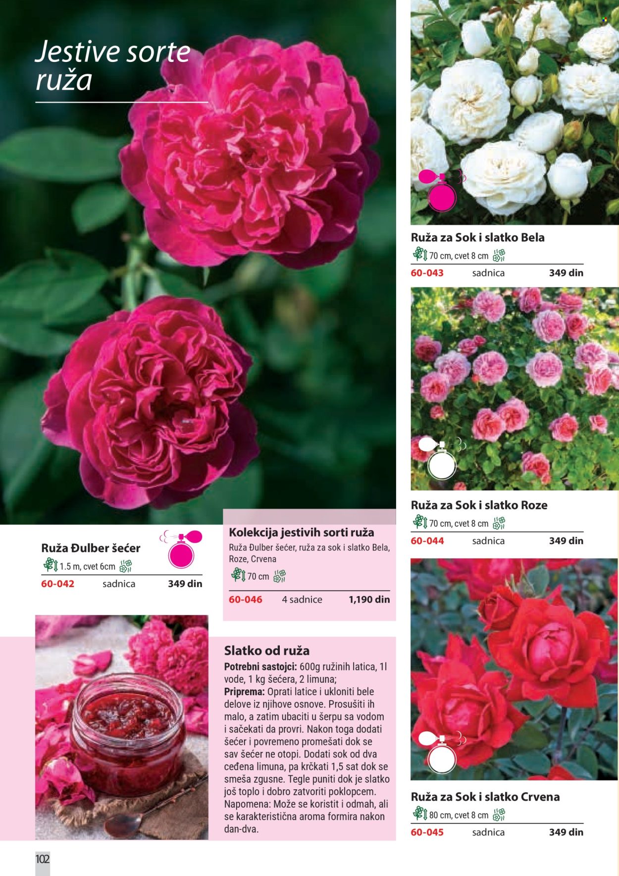 flora-ekspres - Flora Ekspres katalog februar 2026 - page: 102