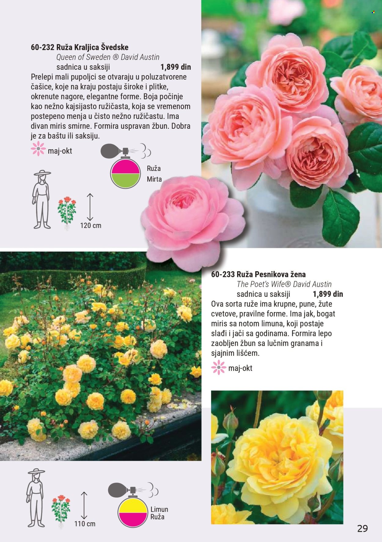 flora-ekspres - Flora Ekspres katalog mart 2026 - page: 29