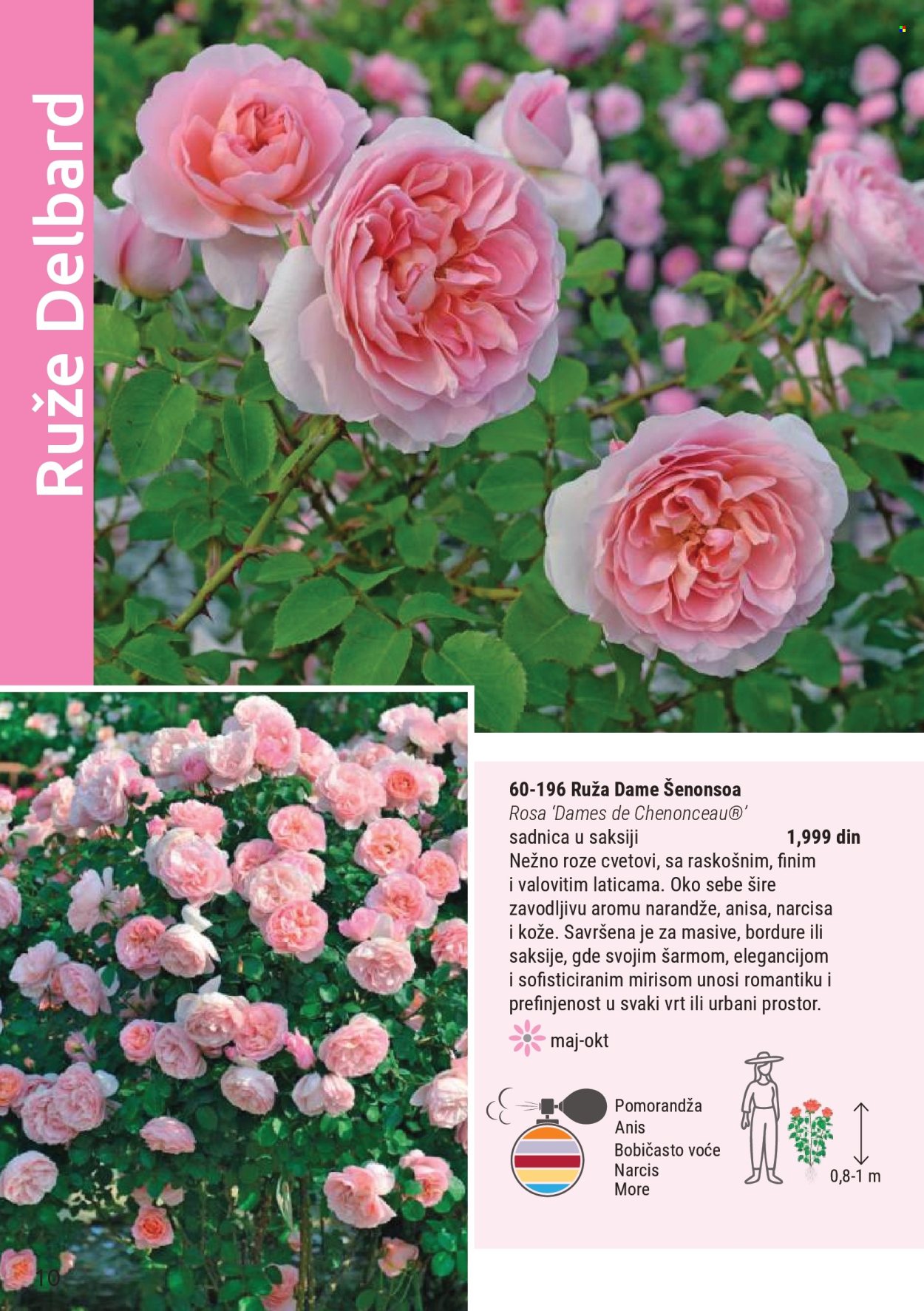 flora-ekspres - Flora Ekspres katalog mart 2026 - page: 10