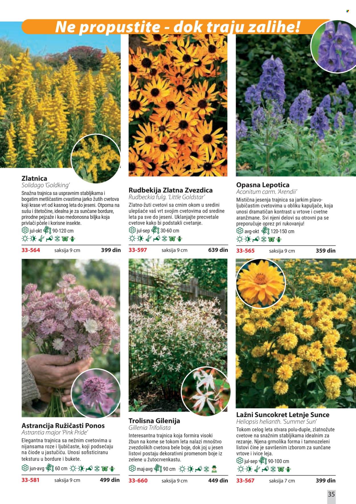 flora-ekspres - Flora Ekspres katalog april 2026 - page: 35