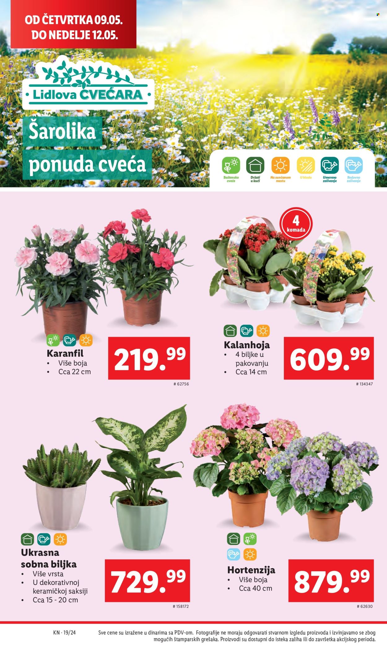 lidl - Lidl katalog - 09.05.-15.05.2024 - strana 1 - page: 40