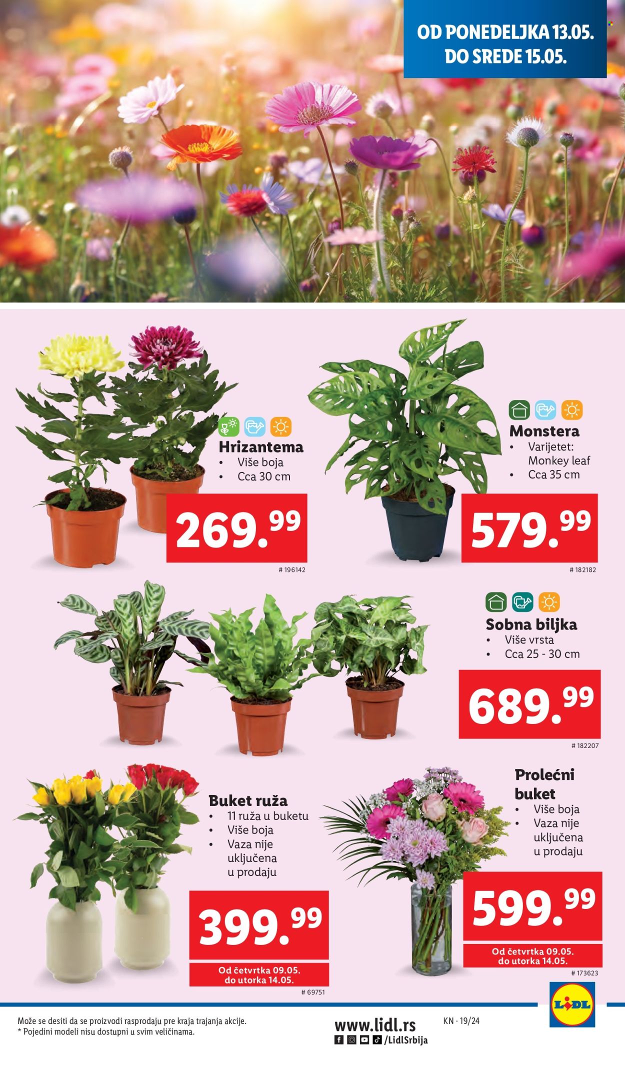 lidl - Lidl katalog - 09.05.-15.05.2024 - strana 1 - page: 41