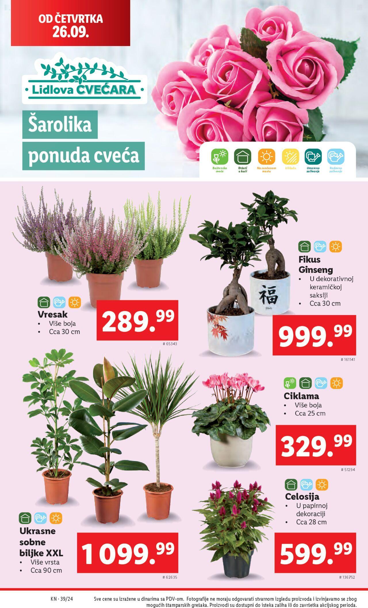 lidl - Lidl katalog - najnovije akcije 26.09.2024 - 02.10.2024 - page: 28