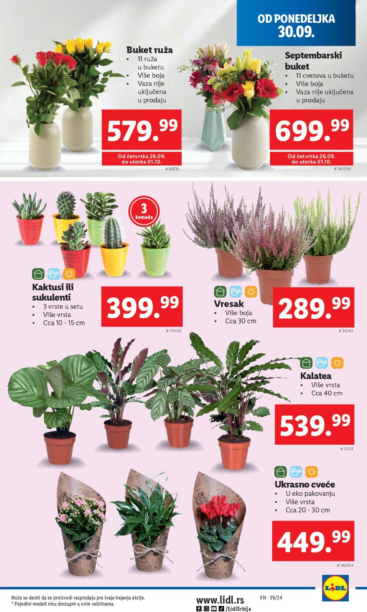 lidl - Lidl katalog - najnovije akcije 26.09.2024 - 02.10.2024 - page: 29