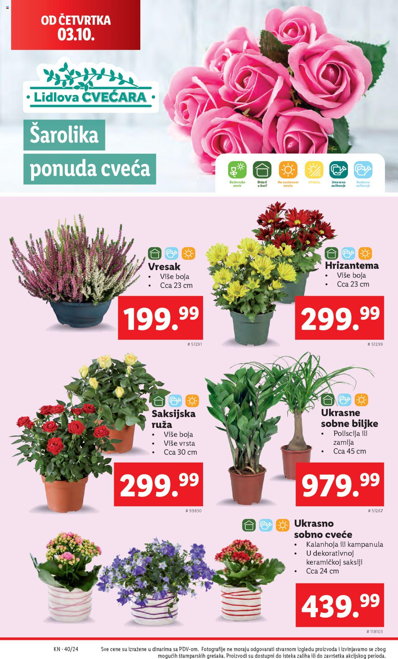 lidl - Lidl katalog - najnovije akcije 03.10.2024 - 09.10.2024 - page: 32