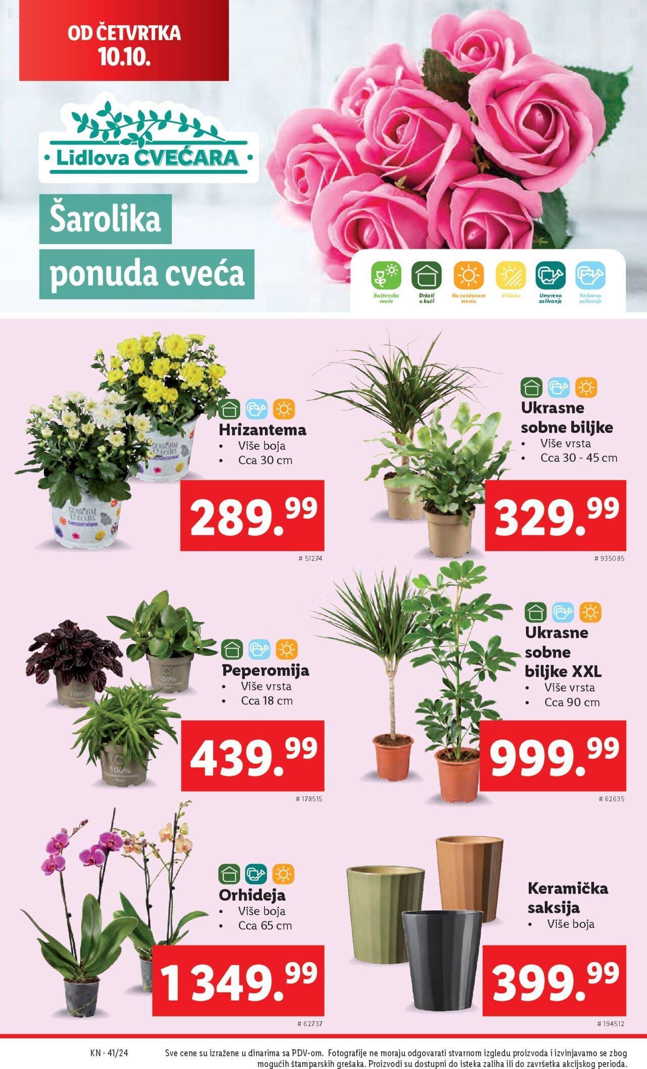 lidl - Lidl katalog - najnovije akcije 10.10.2024 - 16.10.2024 - page: 36