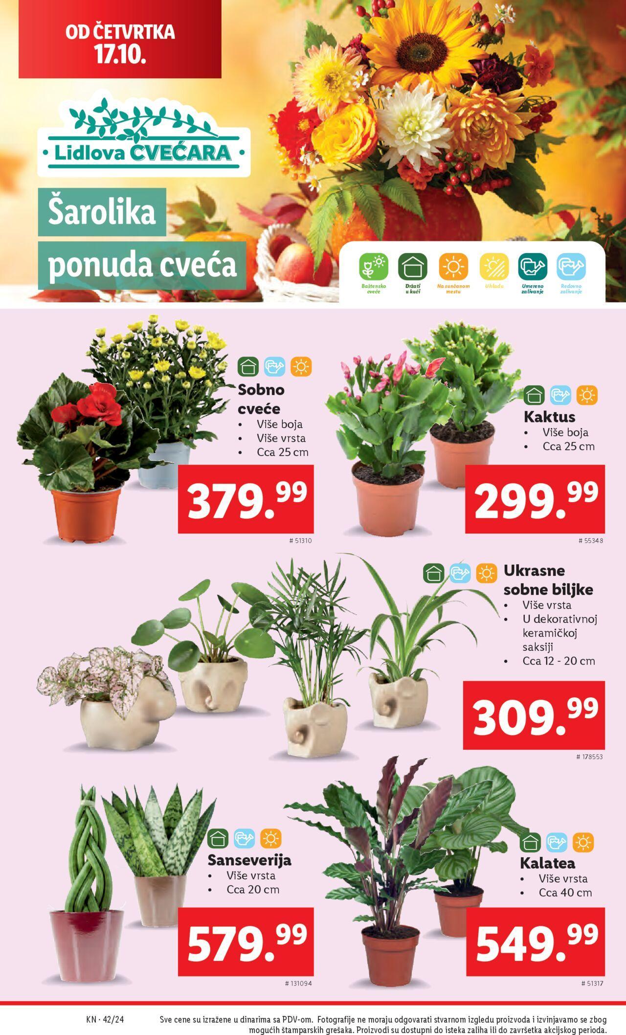 lidl - Lidl katalog - najnovije akcije 17.10.2024 - 23.10.2024 - page: 36