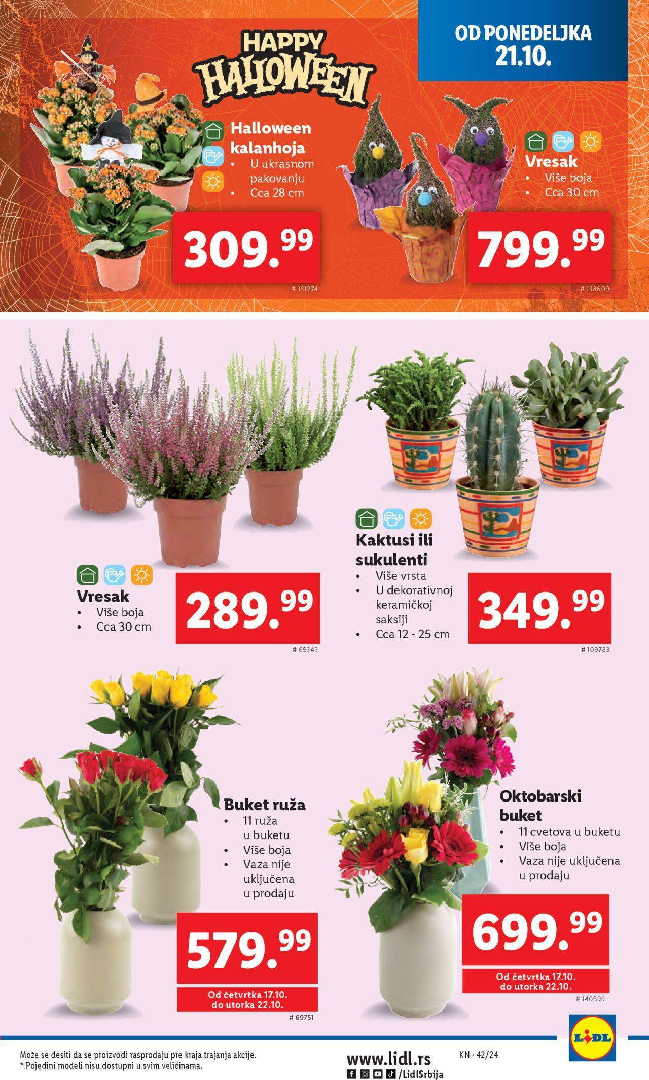 lidl - Lidl katalog - najnovije akcije 17.10.2024 - 23.10.2024 - page: 37