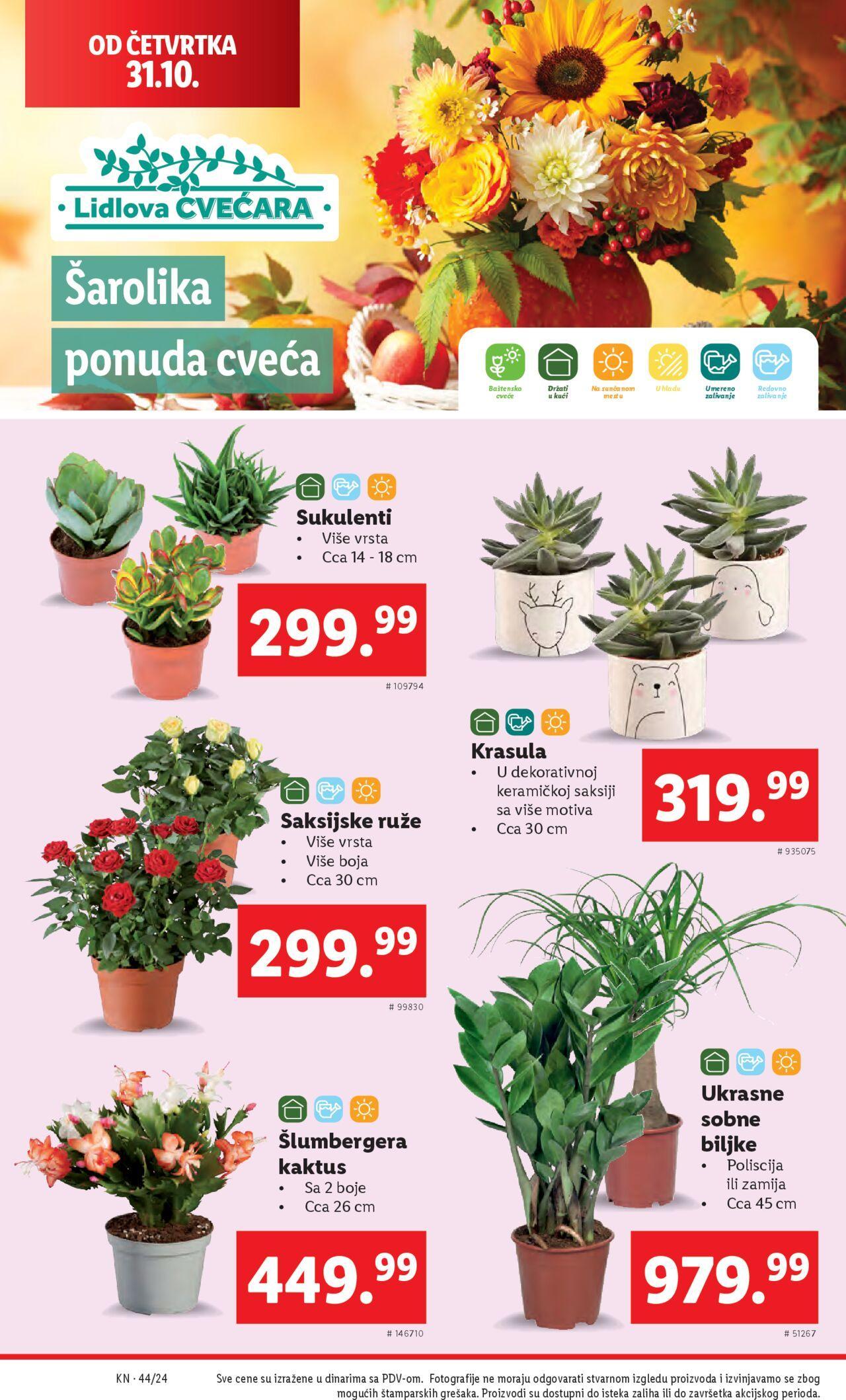 lidl - Lidl katalog - najnovije akcije 31.10.2024 - 06.11.2024 - page: 34