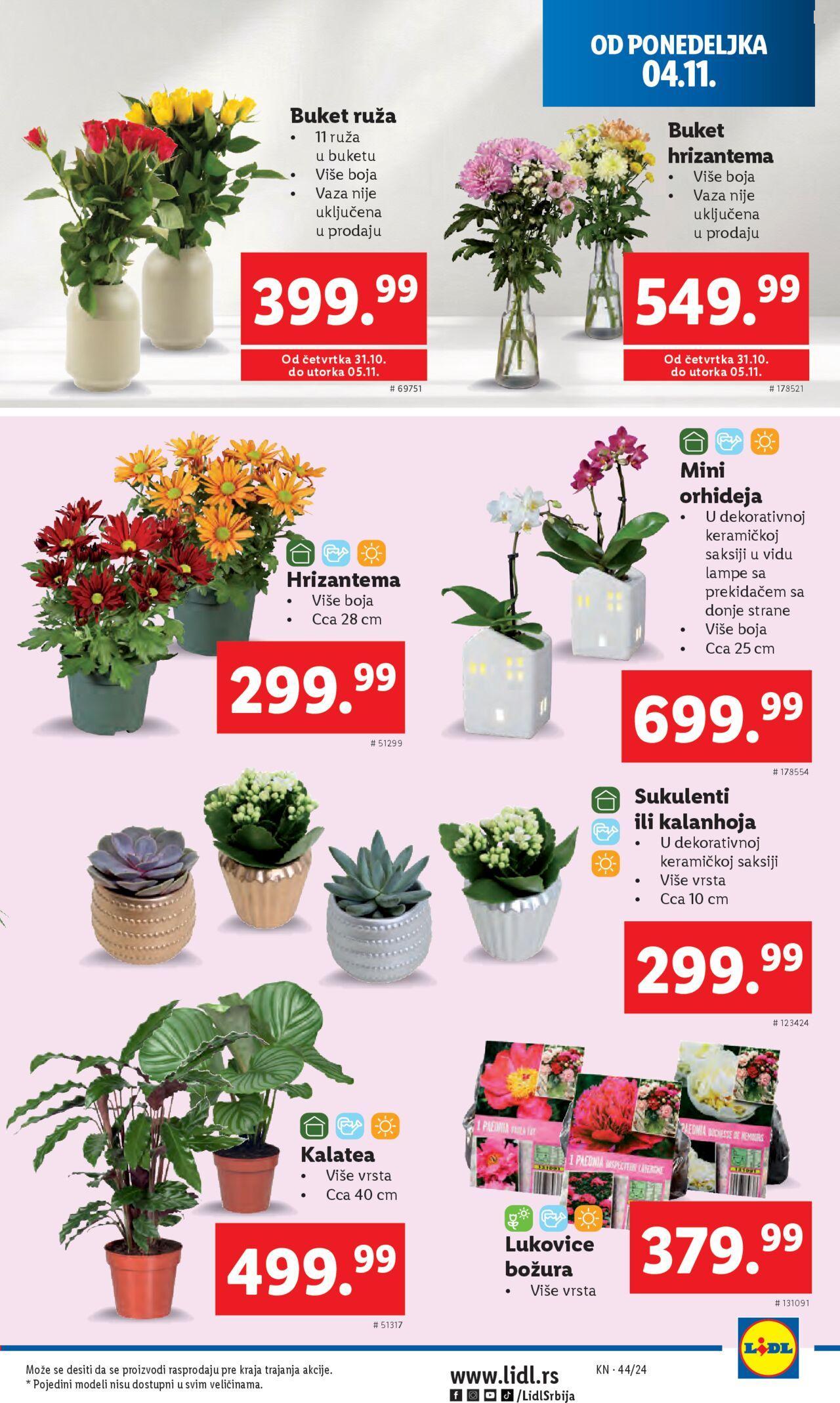 lidl - Lidl katalog - najnovije akcije 31.10.2024 - 06.11.2024 - page: 35