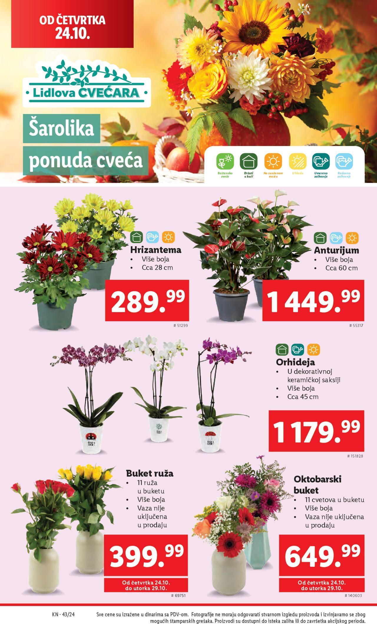 lidl - Lidl katalog - najnovije akcije 24.10.2024 - 30.10.2024 - page: 42