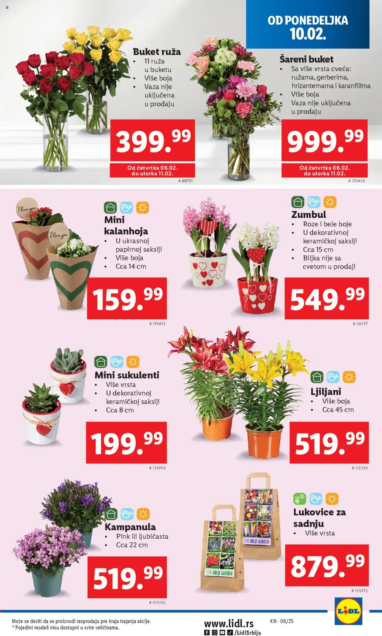 lidl - Lidl katalog - najnovije akcije 06.02.2025 - 12.02.2025 - page: 31