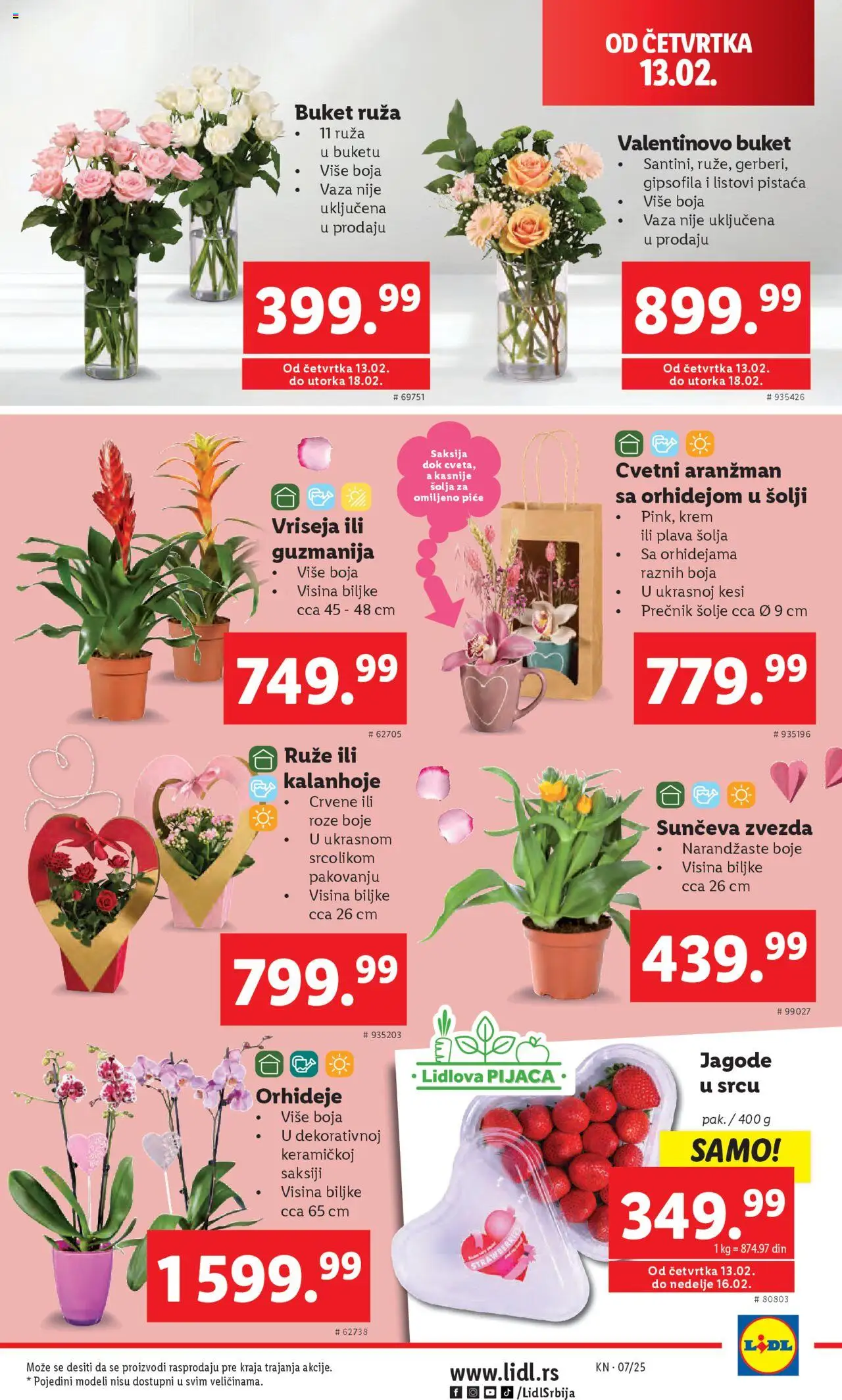 lidl - Lidl katalog - najnovije akcije 13.02.2025 - 19.02.2025 - page: 9