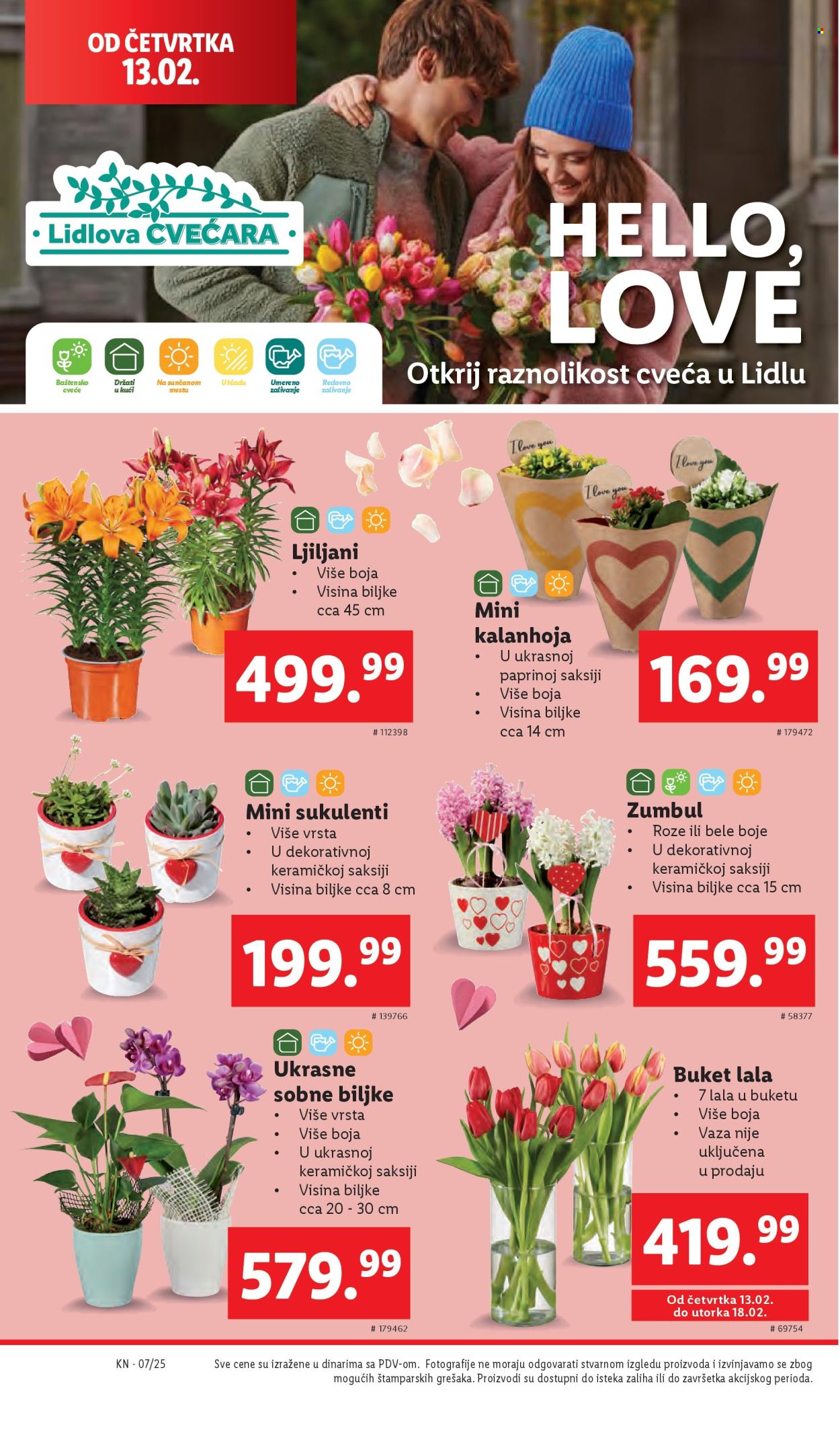 lidl - Lidl katalog - 13.02.-19.02.2025 - page: 8