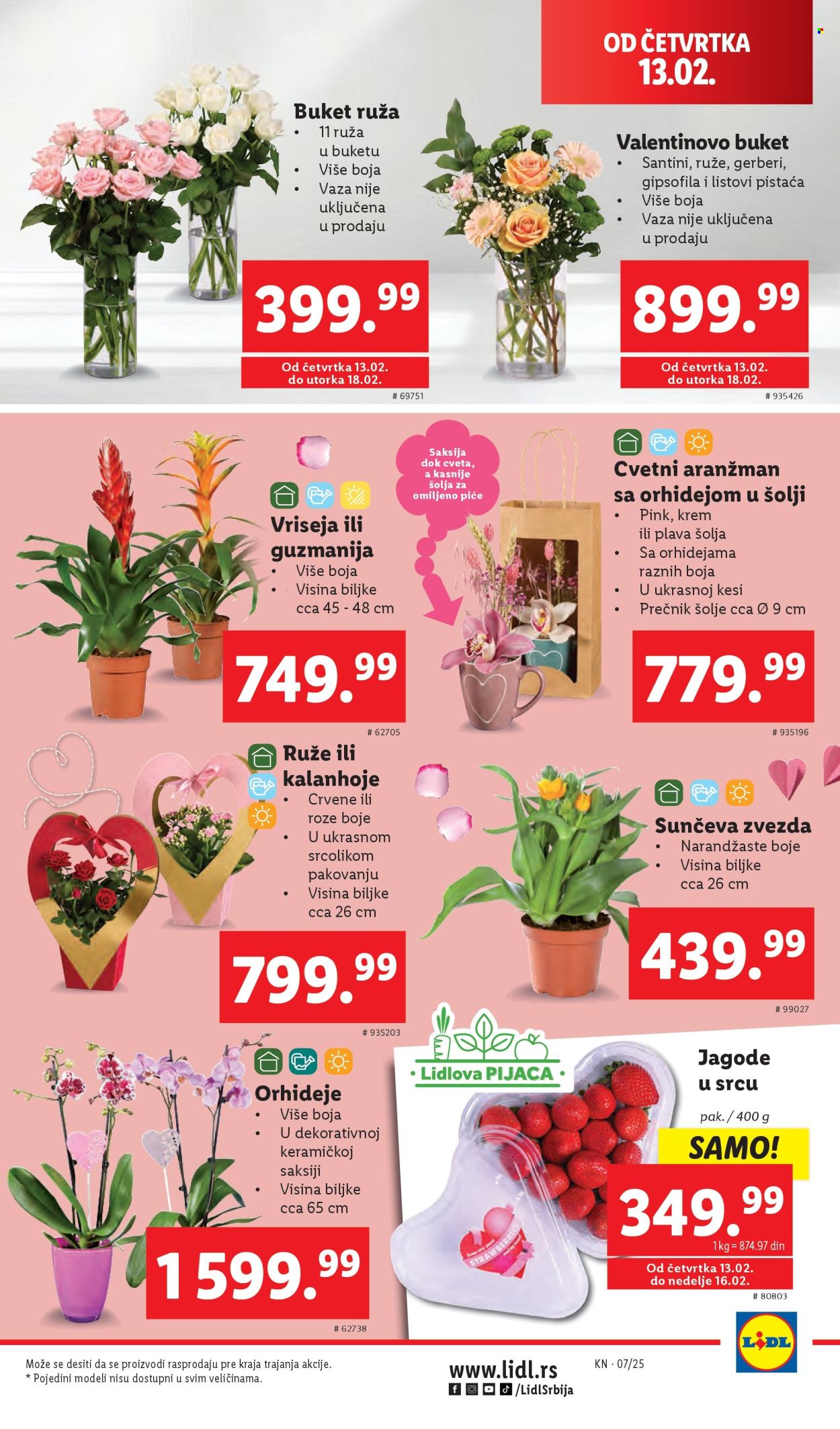 lidl - Lidl katalog - 13.02.-19.02.2025 - page: 9