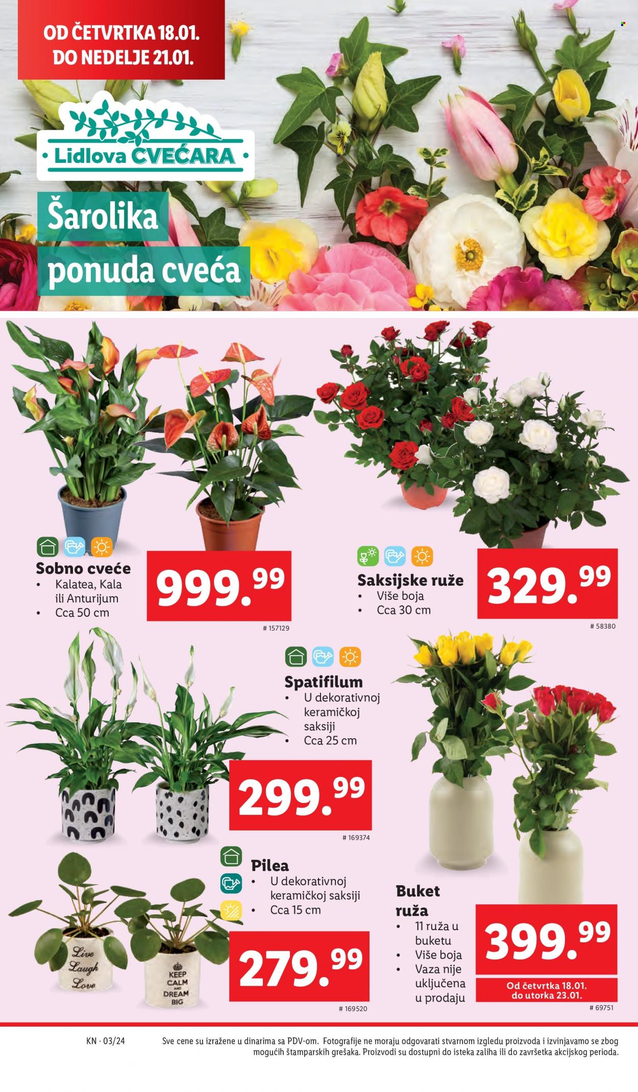 lidl - Lidl katalog - 18.01.-24.01.2024 - page: 18