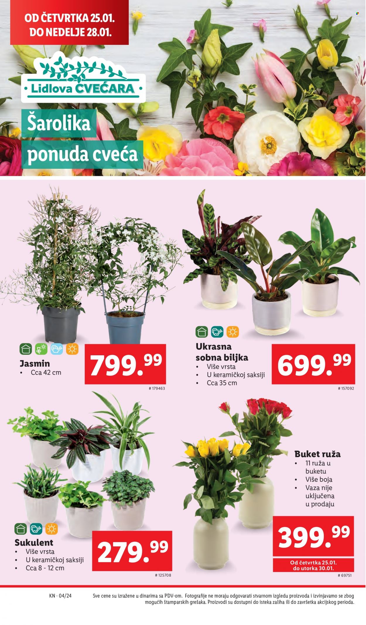 lidl - Lidl katalog - 25.01.-31.01.2024 - page: 26