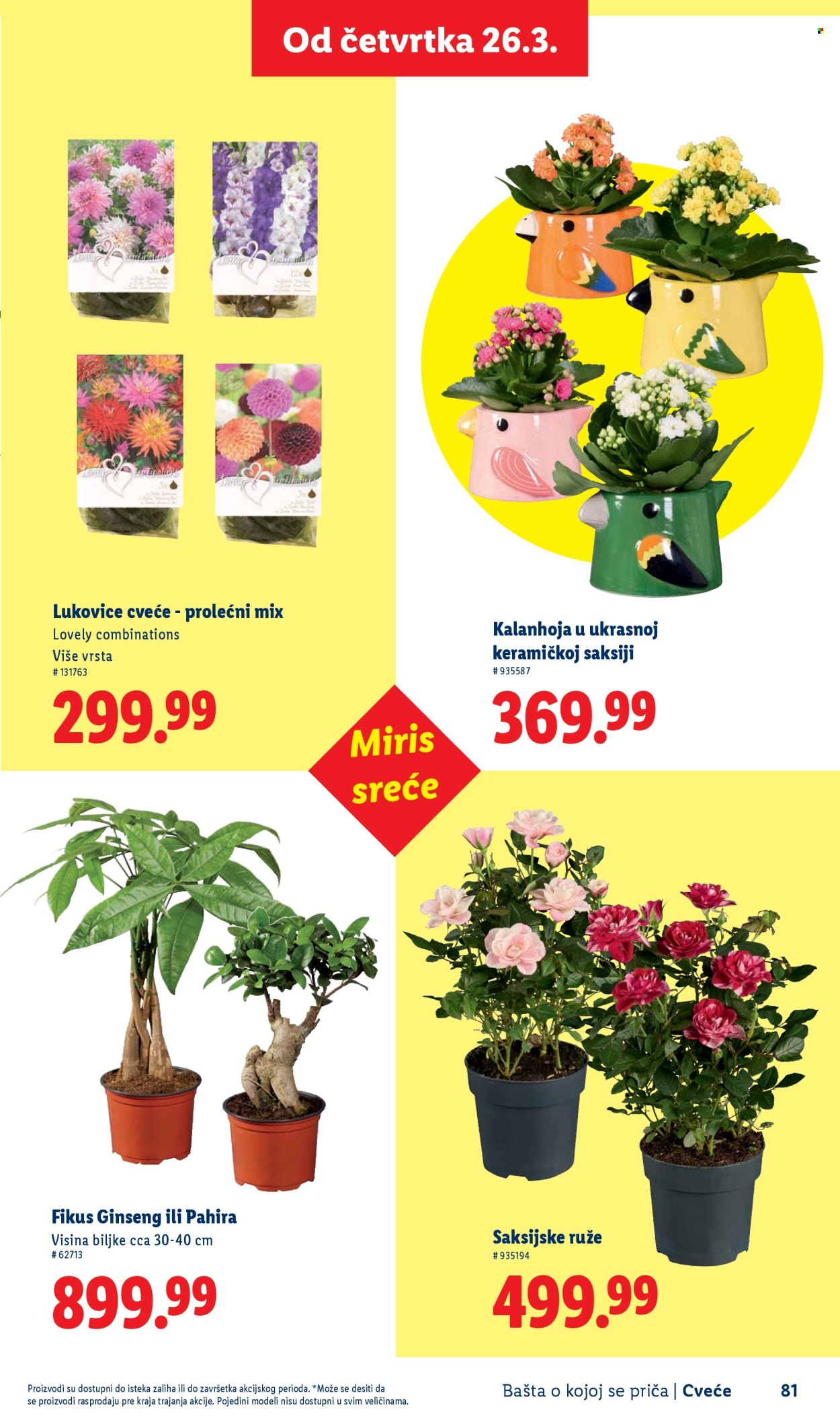 lidl - Lidl katalog mart 2026 - page: 81
