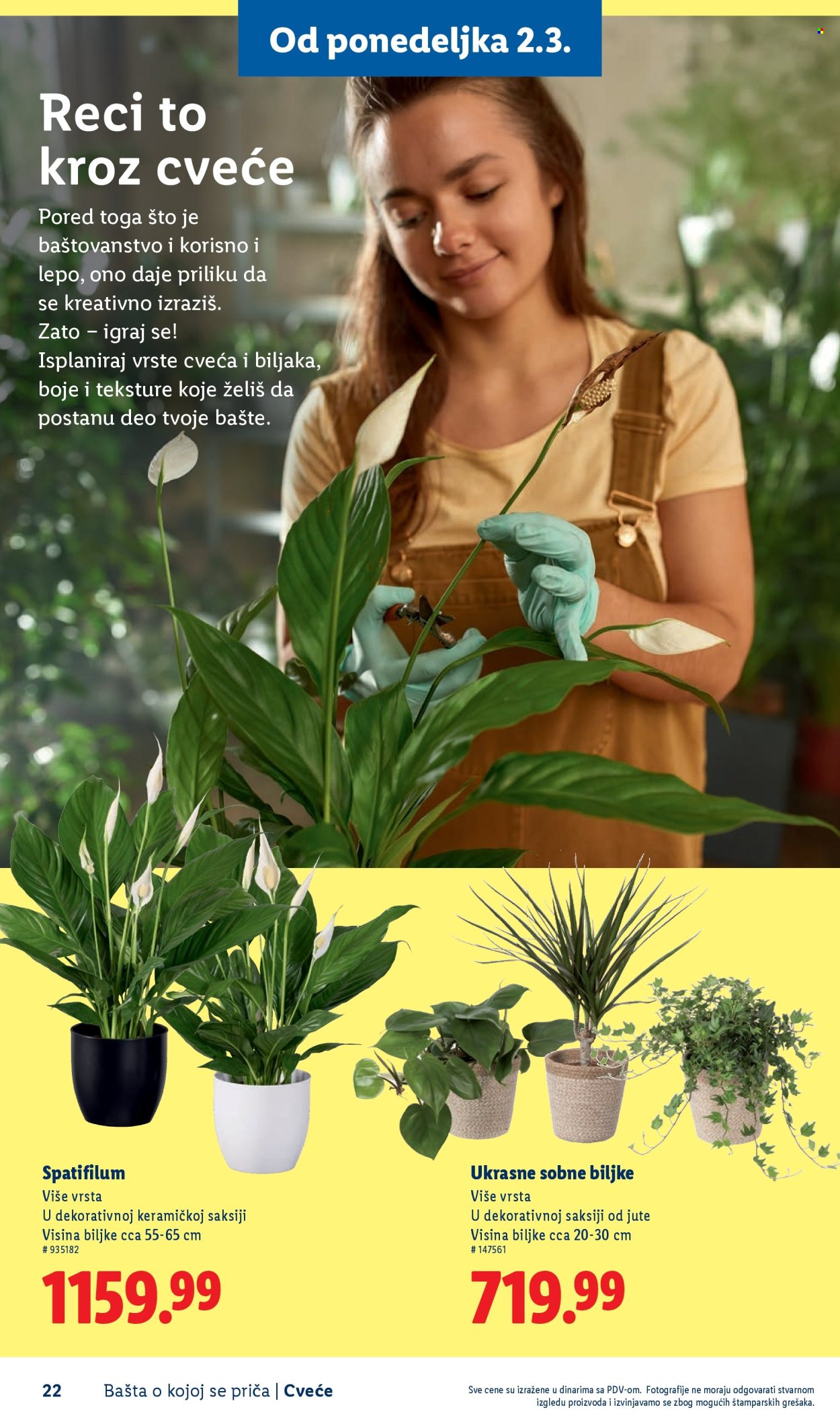 lidl - Lidl katalog mart 2026 - page: 22