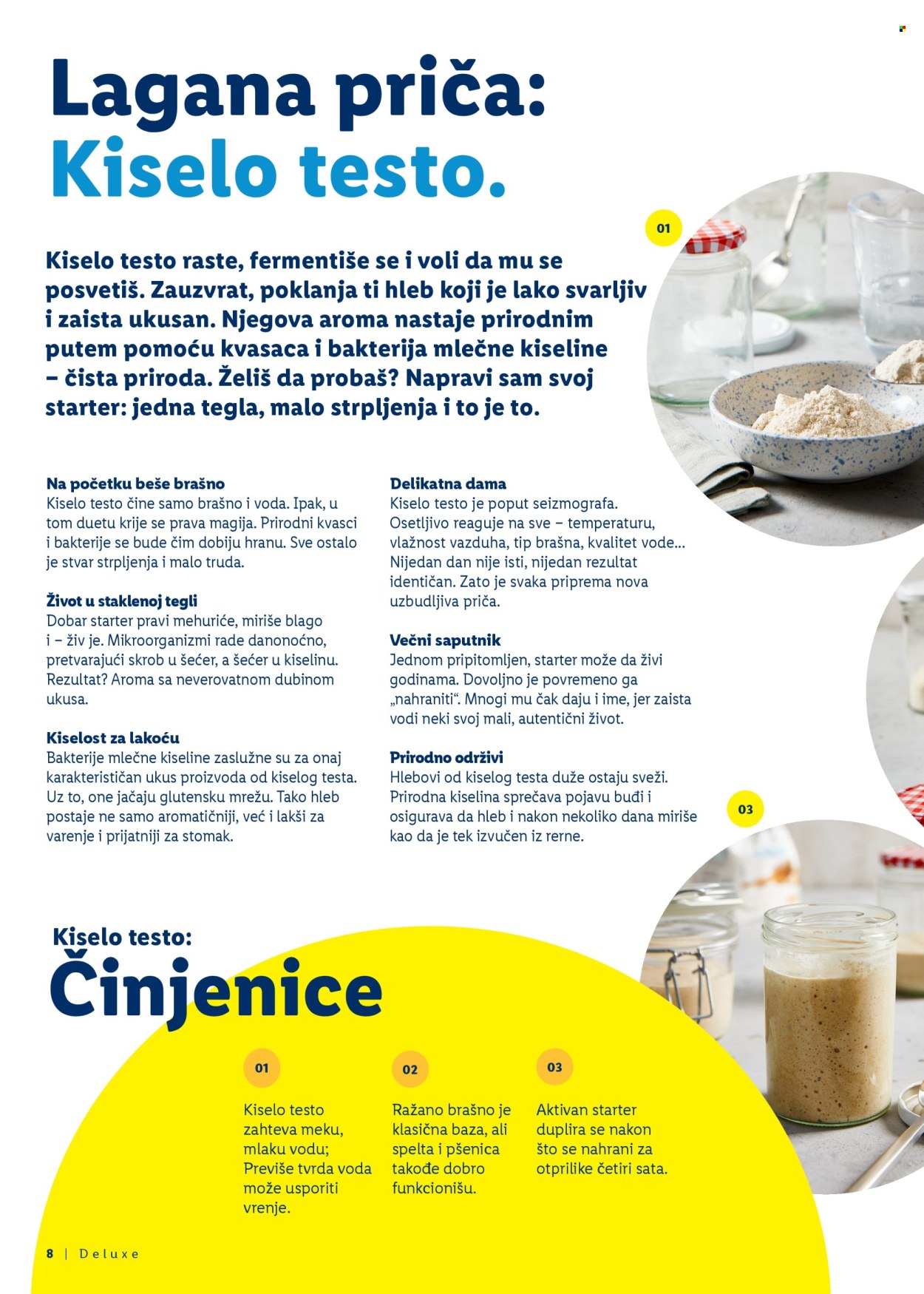 lidl - Lidl katalog mart 2026 - page: 8