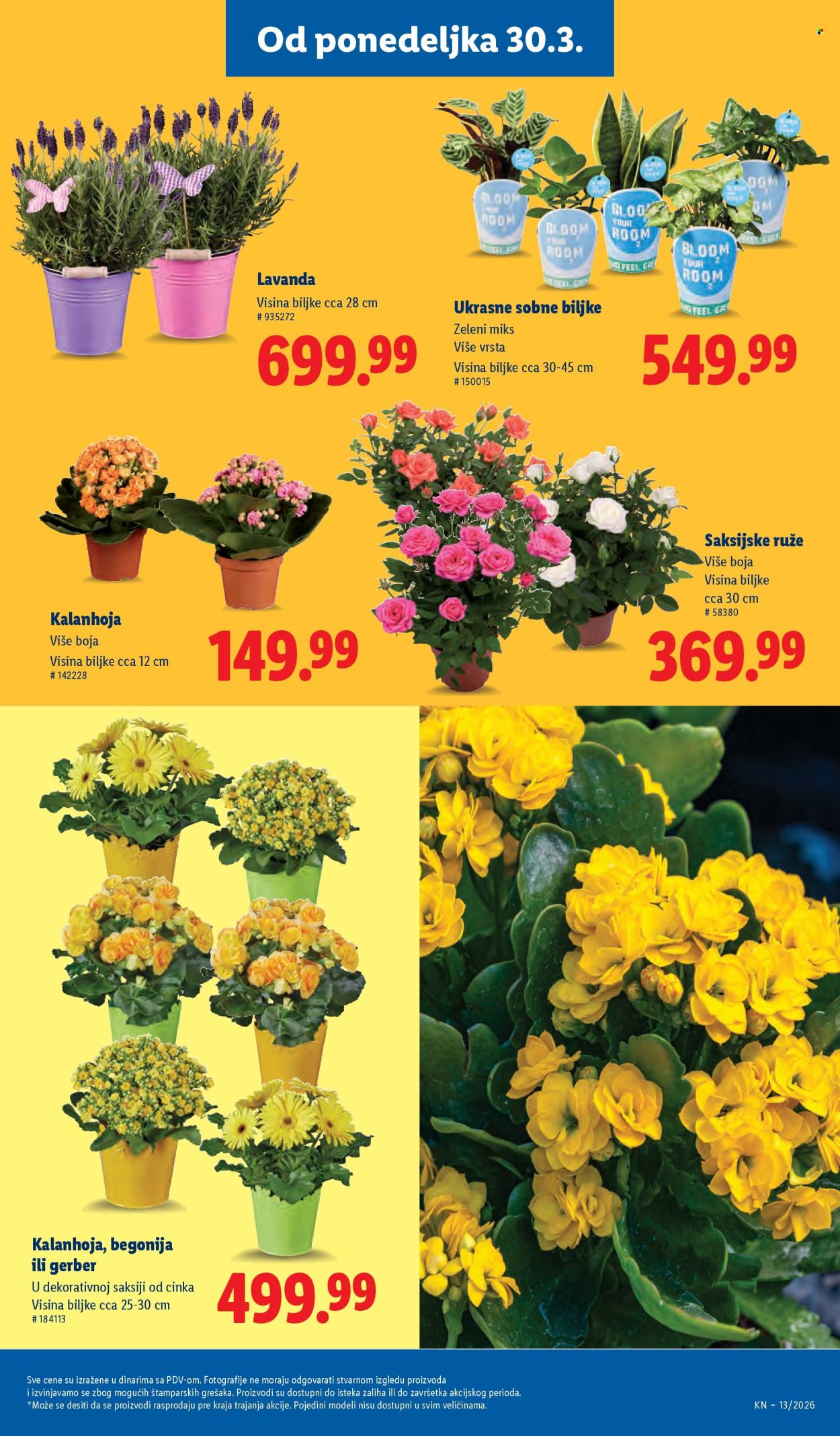 lidl - Lidl katalog - 26.03.-01.04.2026 - page: 55