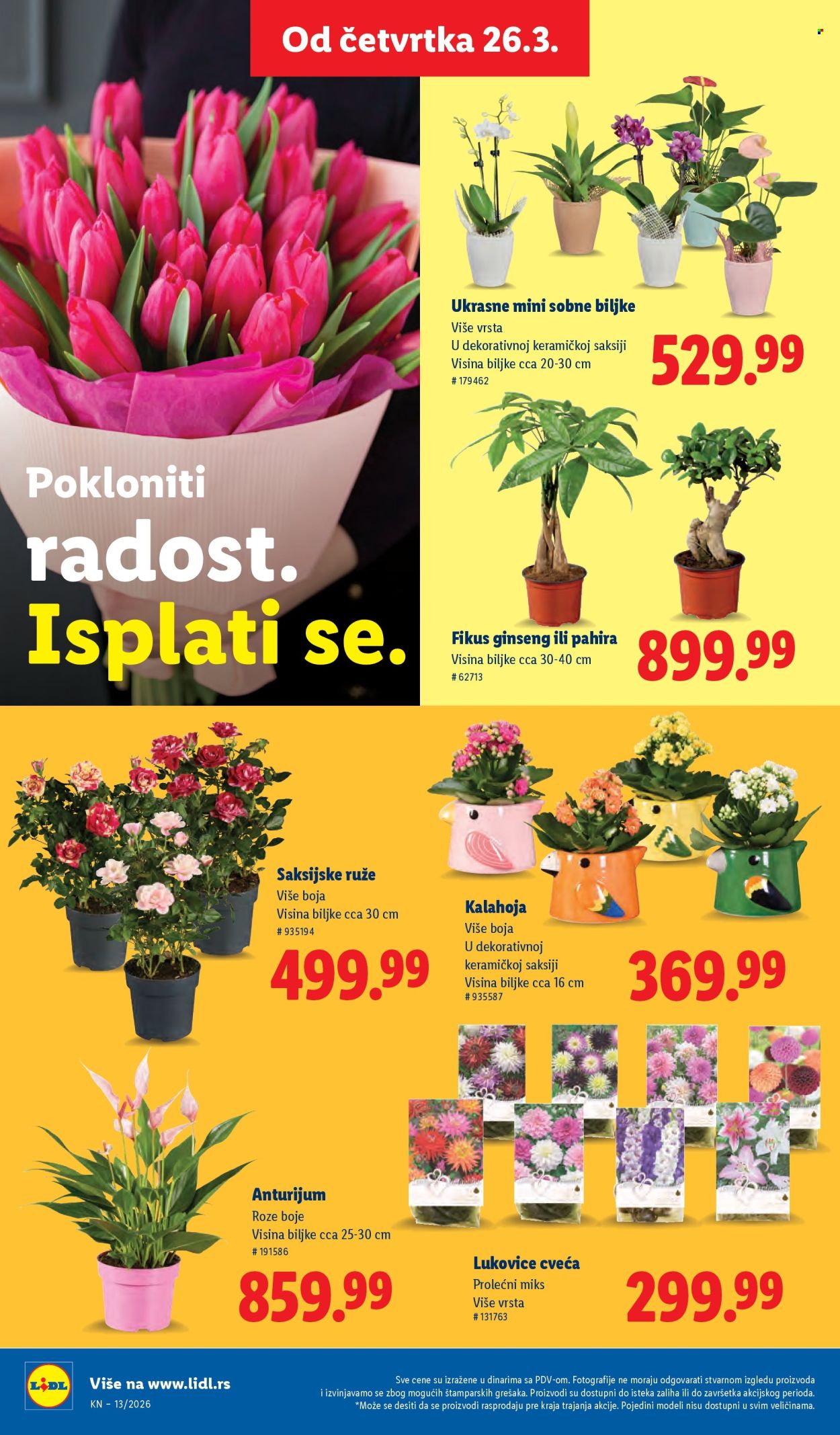 lidl - Lidl katalog - 26.03.-01.04.2026 - page: 54
