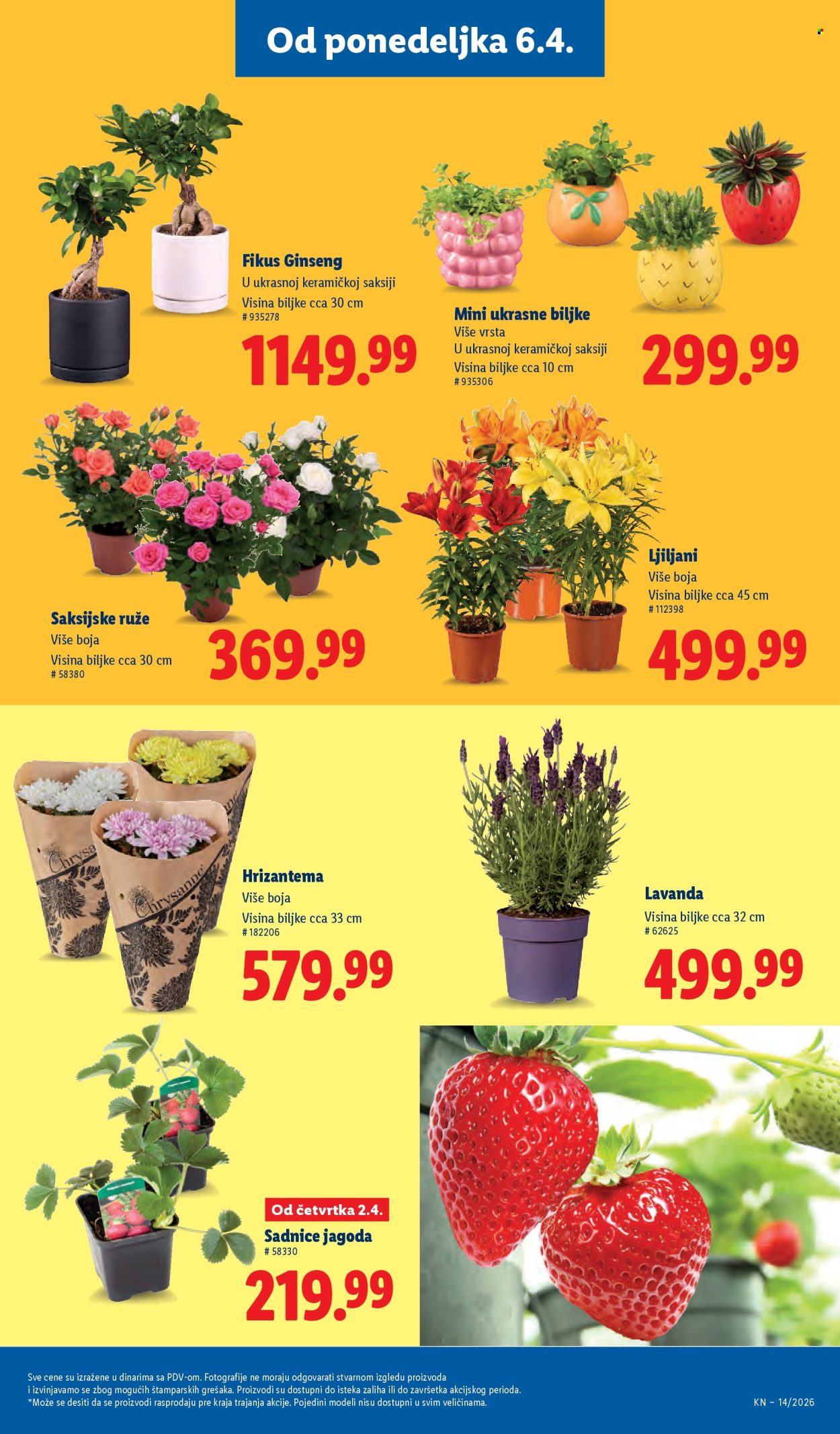 lidl - Lidl katalog - 02.04.-08.04.2026 - page: 63