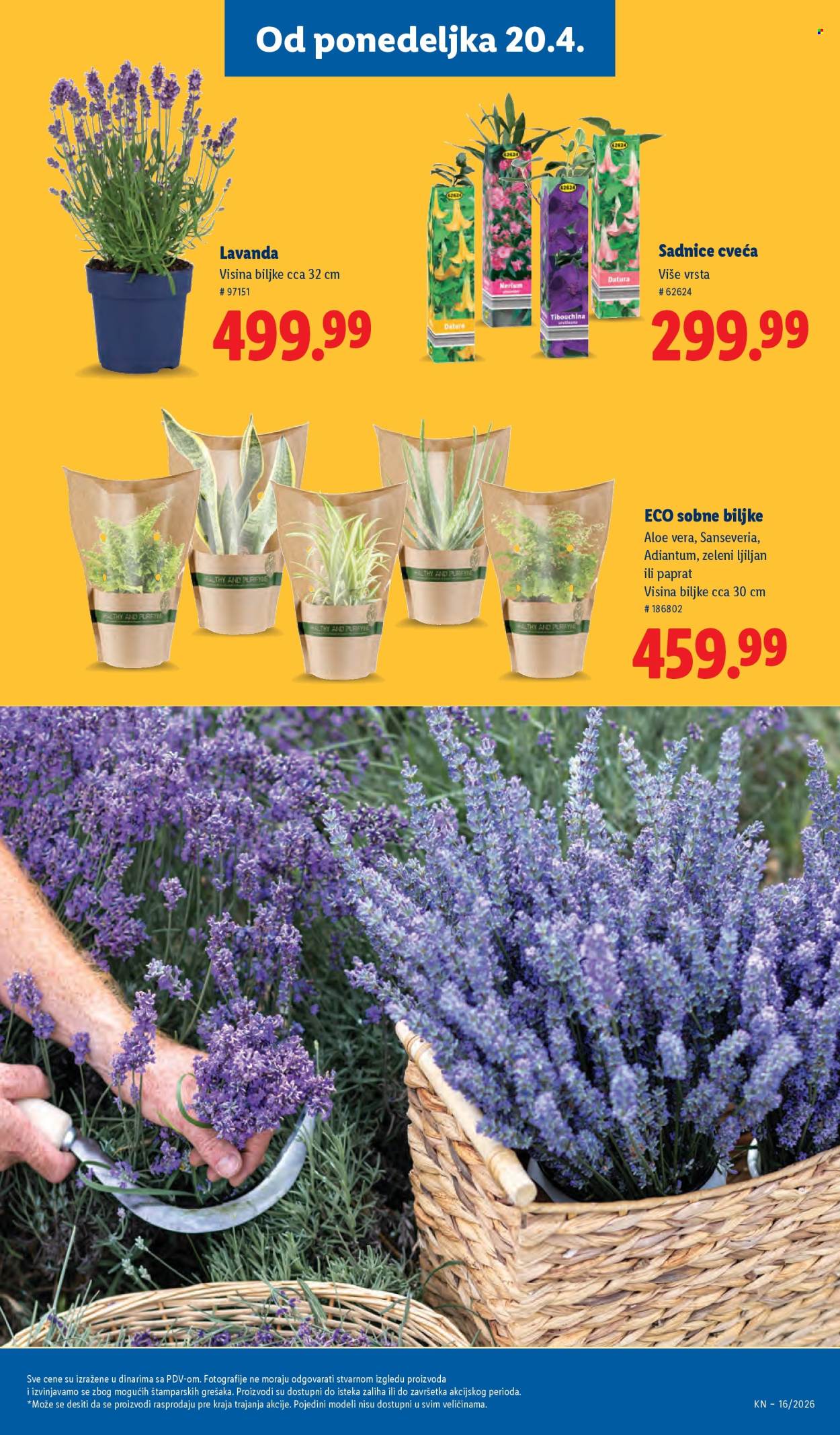 lidl - Lidl katalog - 16.04.-22.04.2026 - page: 63