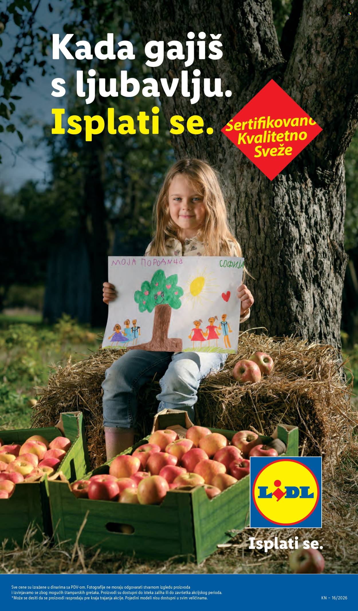lidl - Lidl katalog - 16.04.-22.04.2026 - page: 17