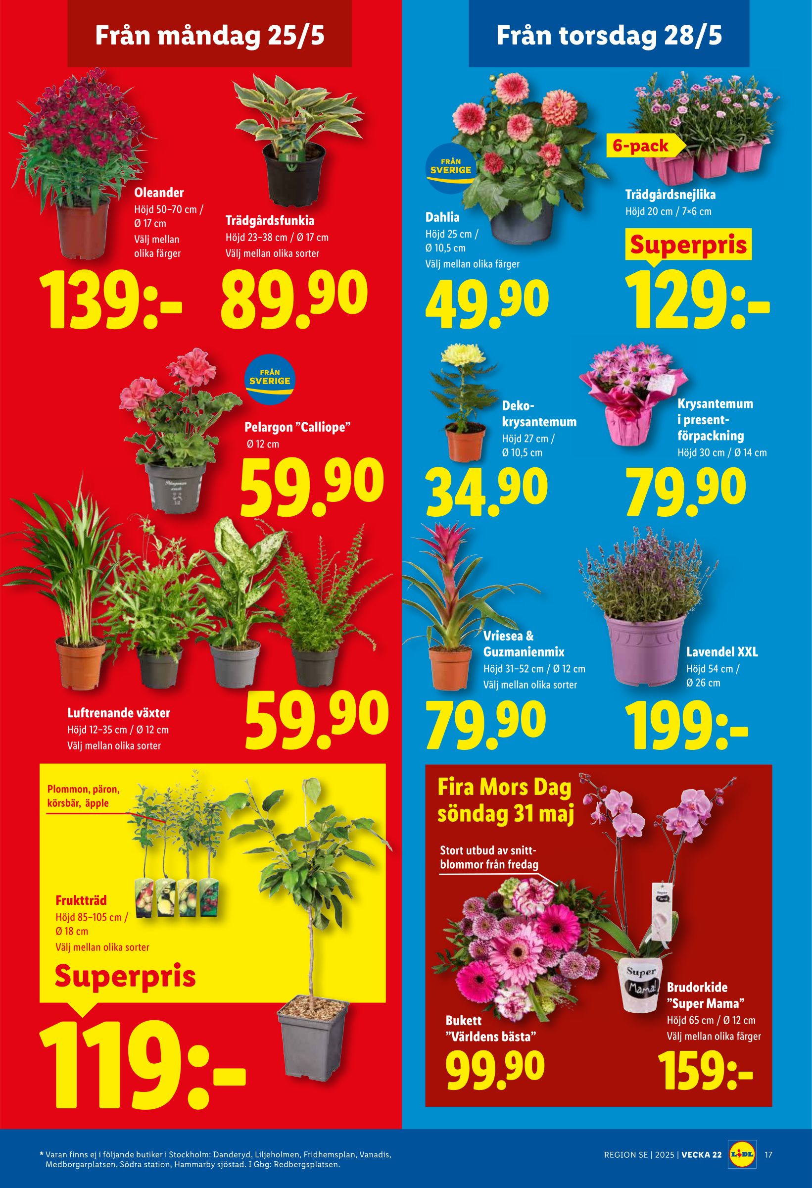 lidl - Nytt Lidl reklamblad från måndag, 25/05/2026 till söndag, 31/05/2026 - page: 20